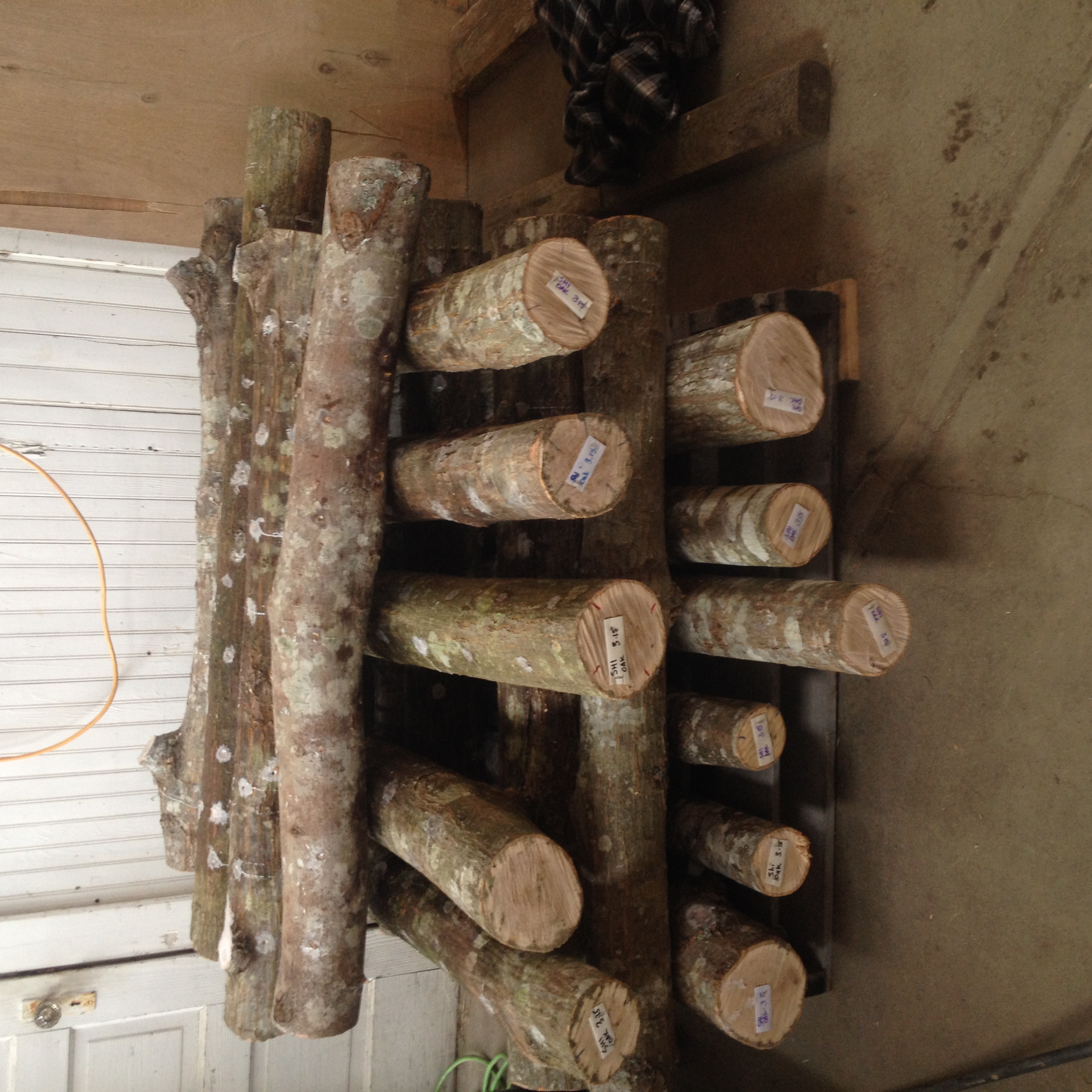 Crib-stacked finished logs (the light patches are where the drill holes have been sealed with paraffin wax) The ends have been labeled with the type of mushroom, type of log, and date