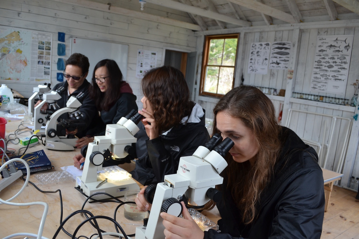 After towing around a fine-mesh net to collect plankton, students spent time looking into their microscopes trying to identify the critters wiggling around in their petri dishes. 