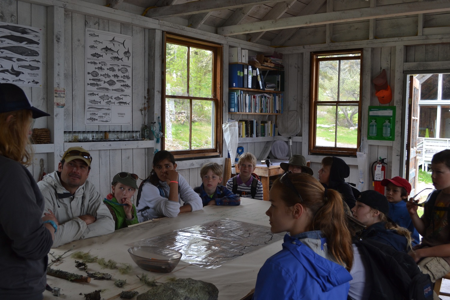 Looking at lichens in the lab with Alice before the lichen hike