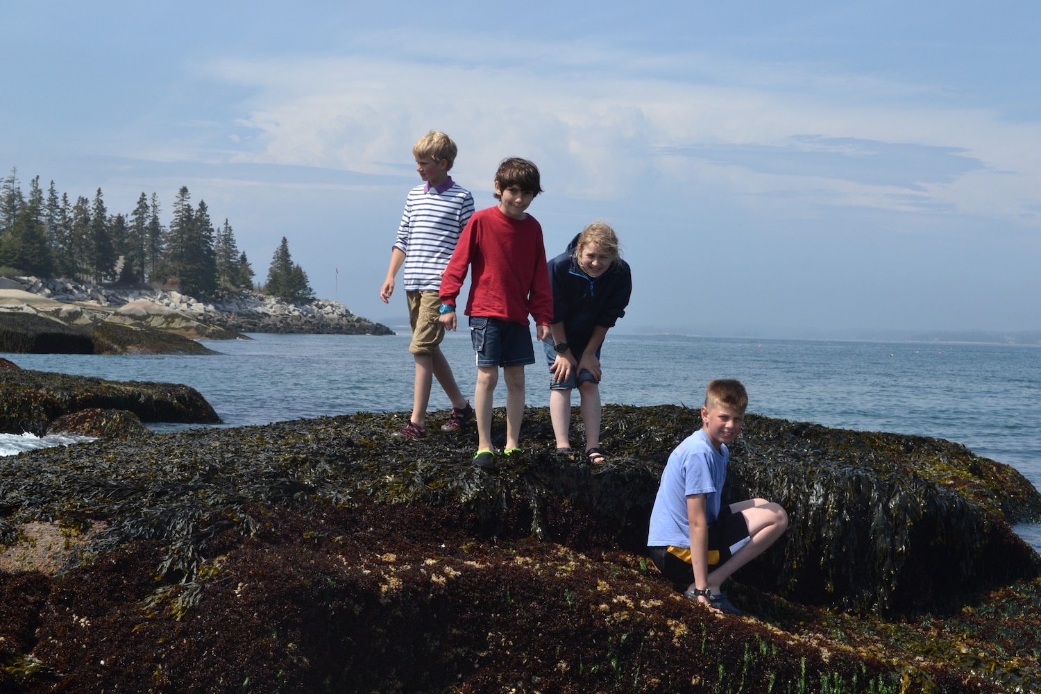 Enjoying the intertidal on Two-Bush Island