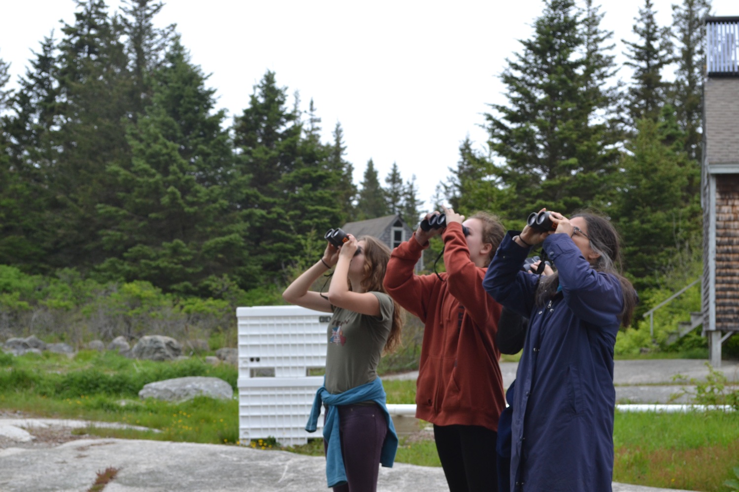We spied tons of beautiful songbirds including American Redstarts, Northern Parula, Cedar Waxwings, Yellow-rumped Warblers, and Black-Throated Green Warblers!