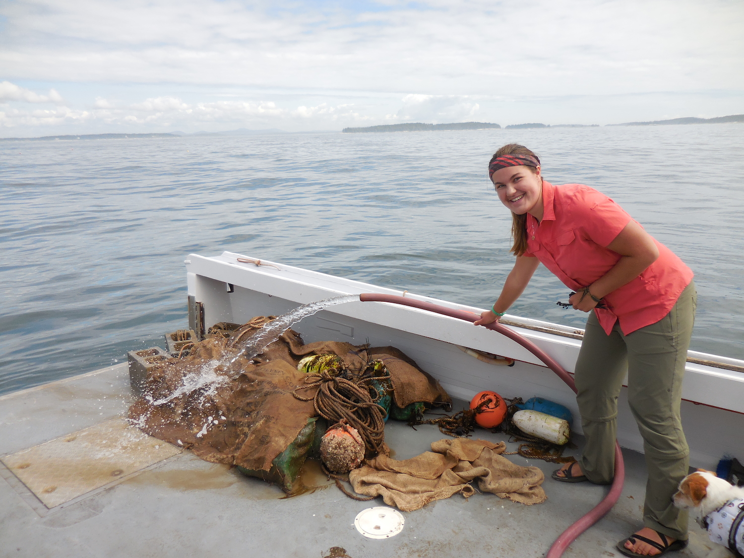 Keeping the pile of spat bags cold and wet with ocean water