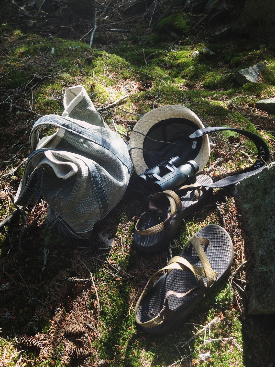 Field fashion