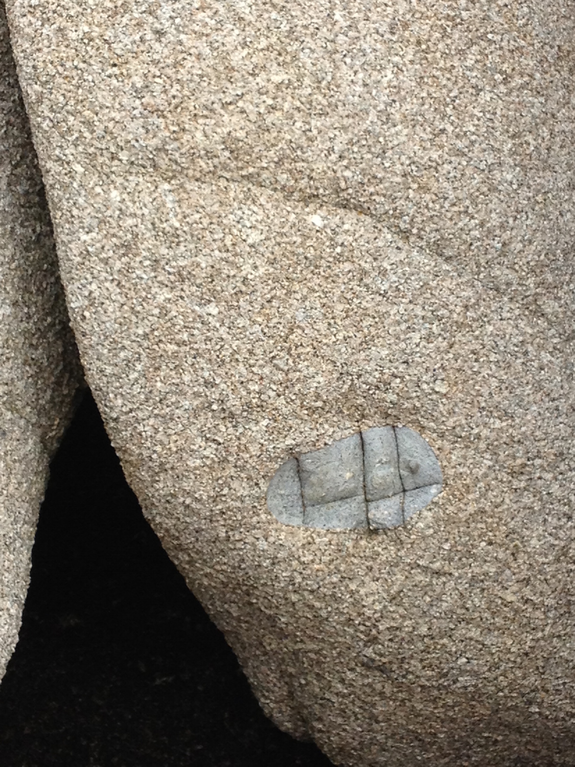  xenolith - Magma of different composition mixed with the granite to form these ubiquitous enclaves around the island