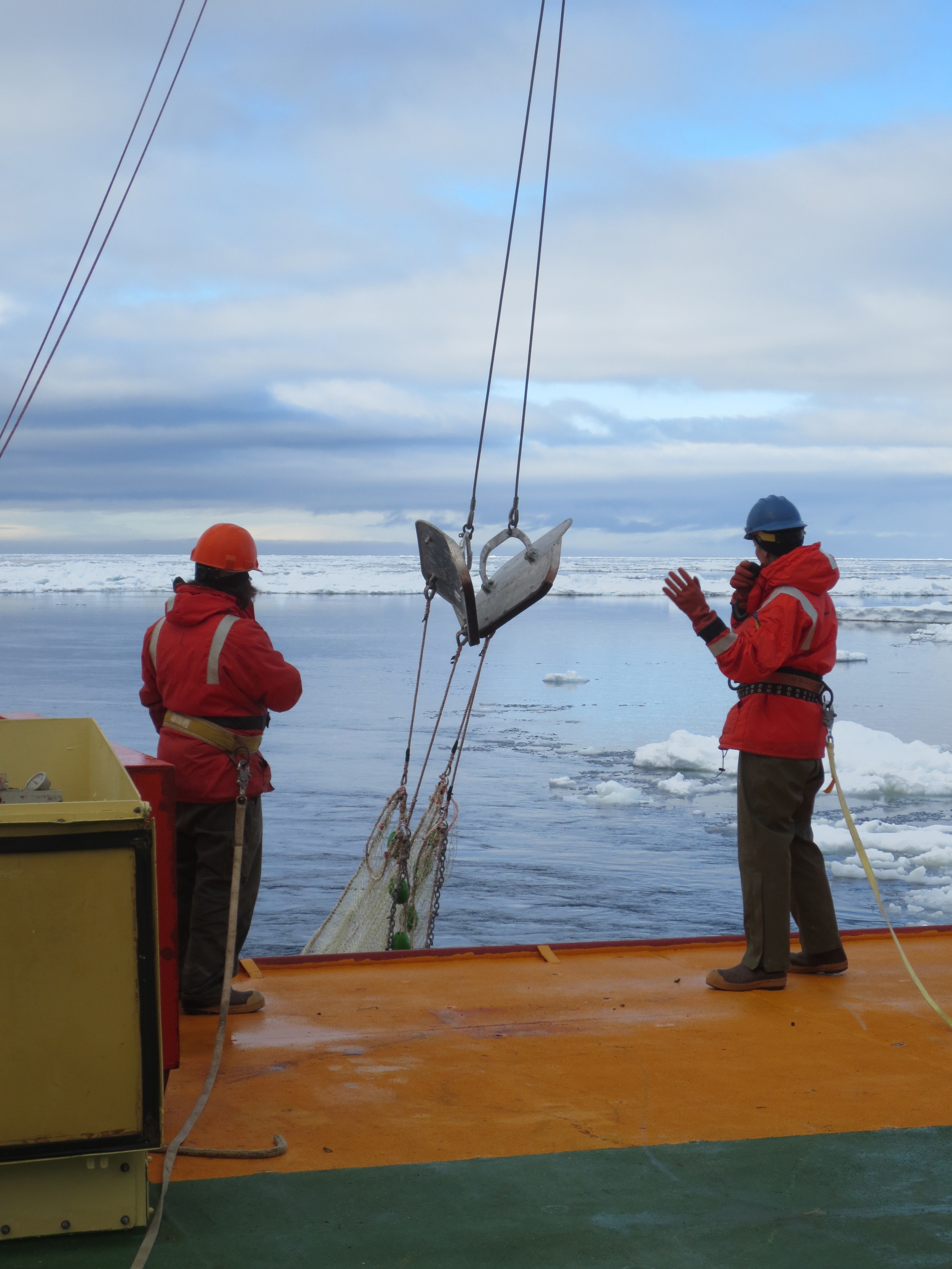 Waiting on deck for the trawl net to be hoisted on board.