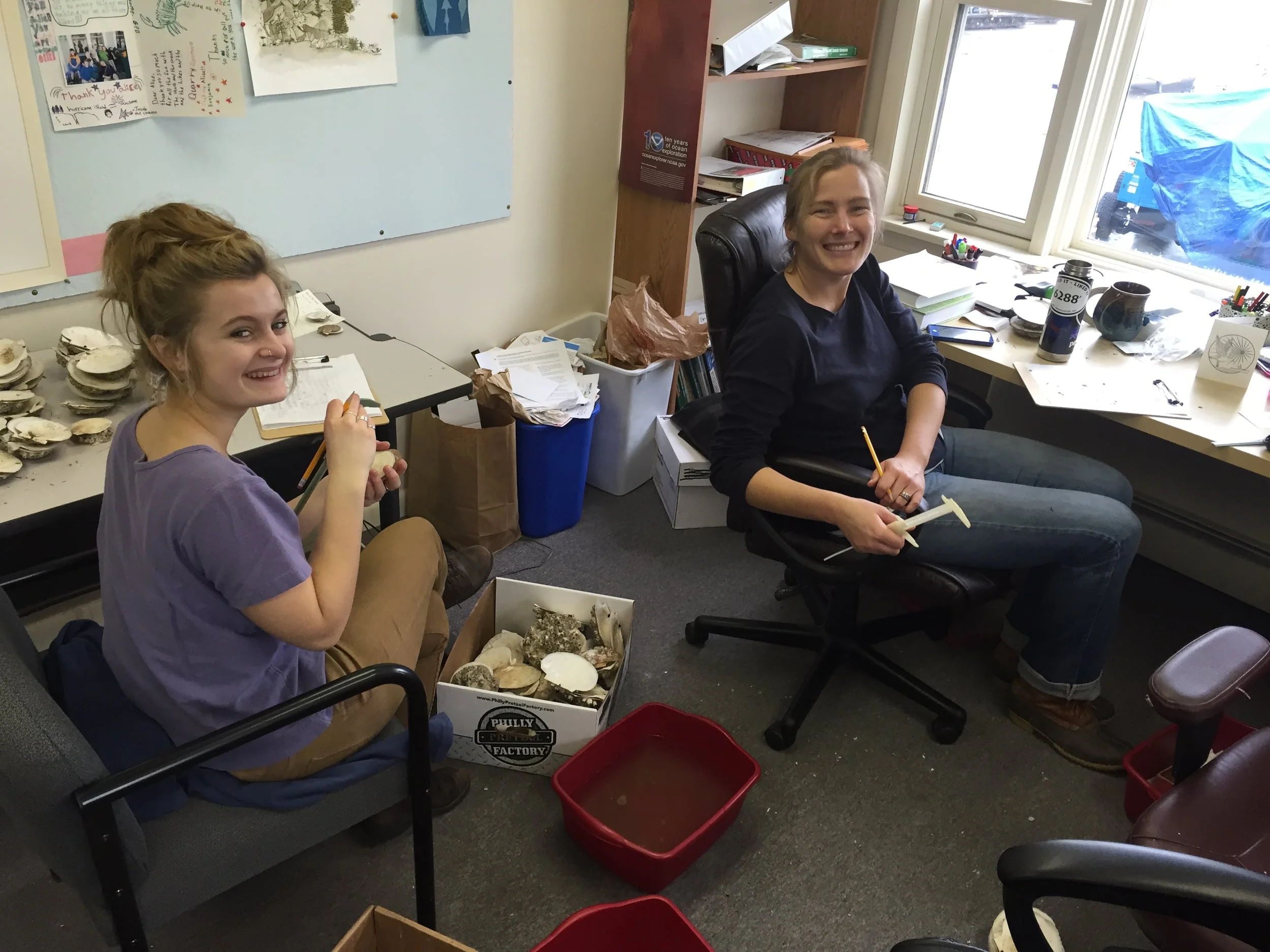 Casco Bay Student Helps with the Scallop Project