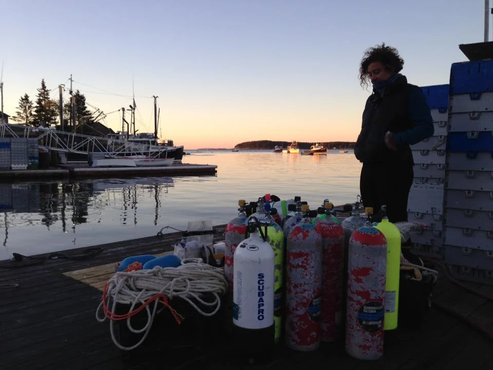 Muscle Ridge Wrap Up