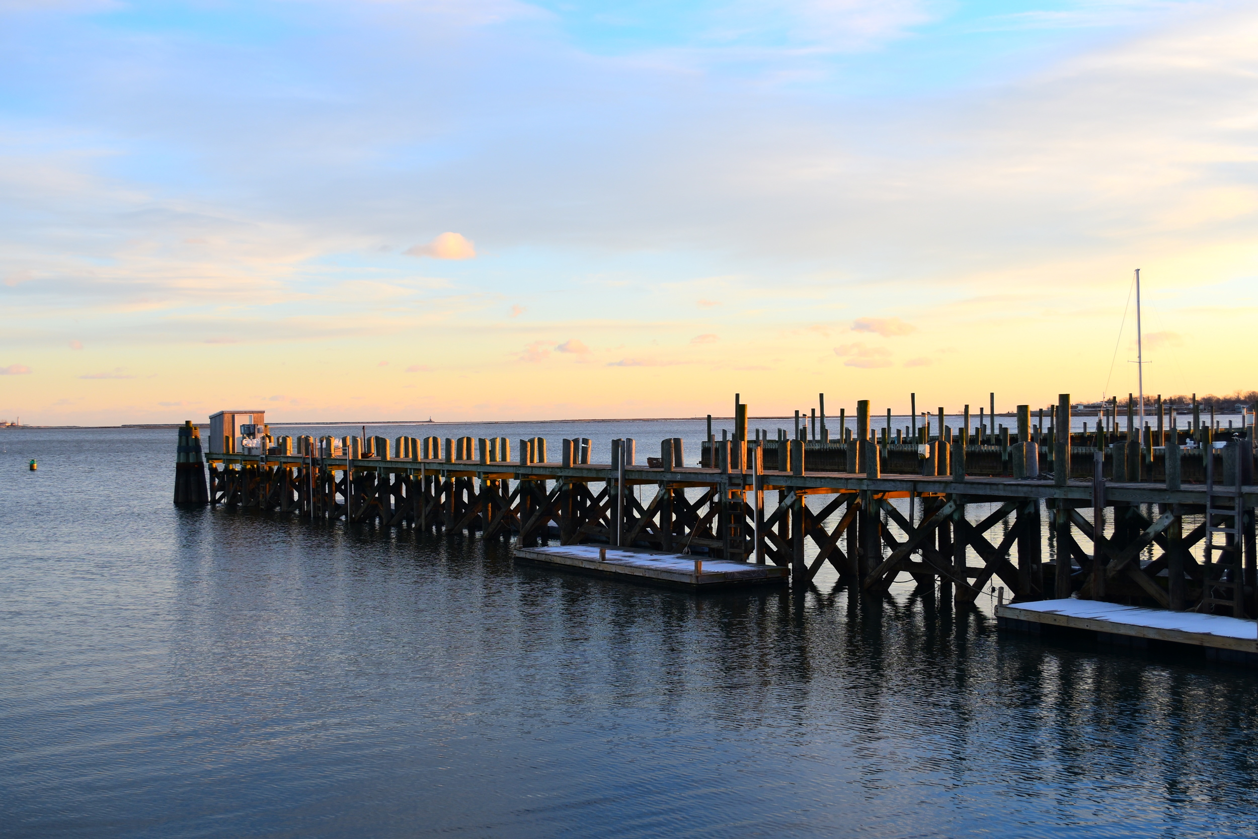 Amazing New England High School Aquaculture Programs
