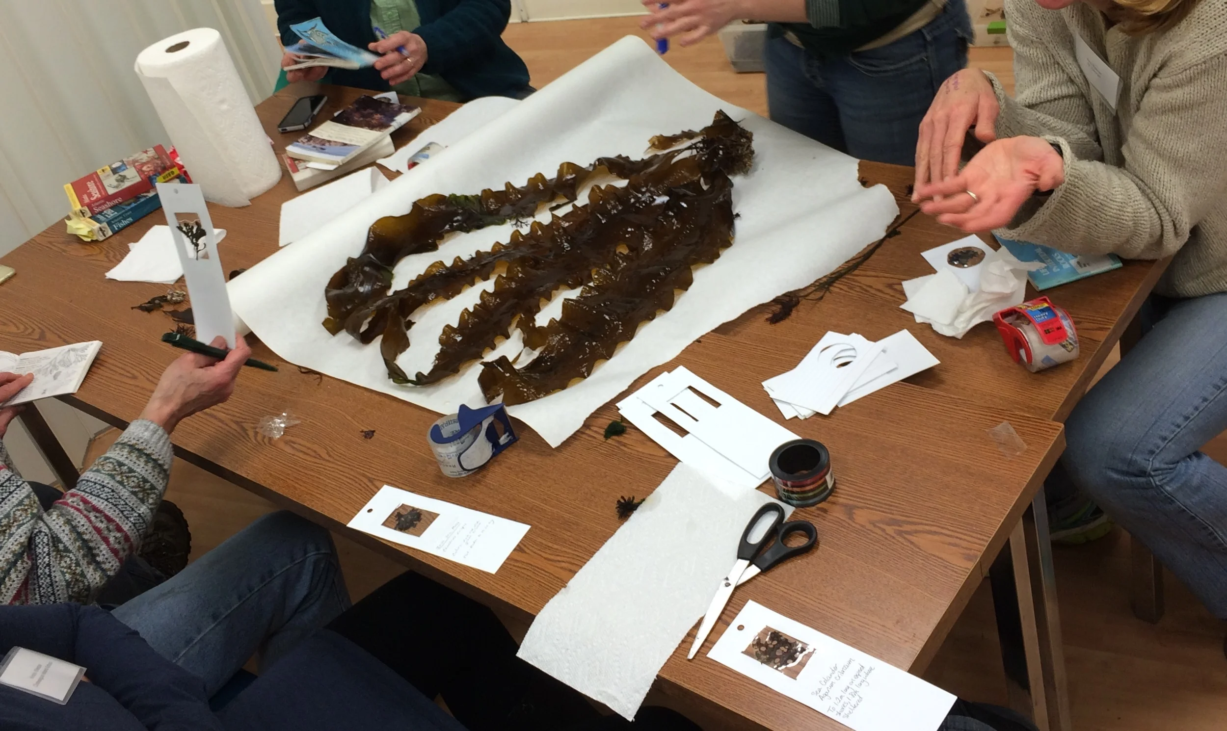 Partnering to bring aquaculture to teachers