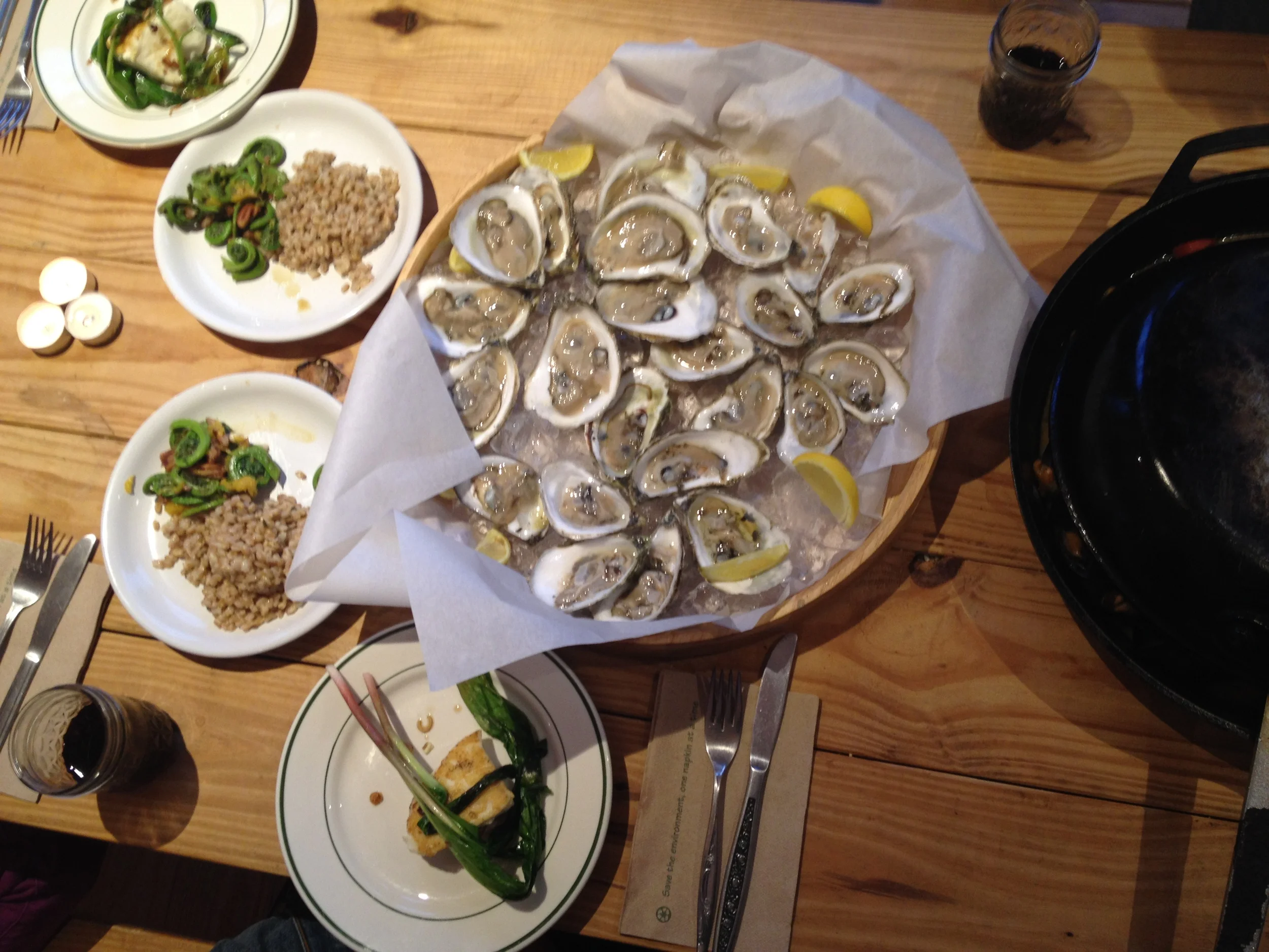 Returning to the Island