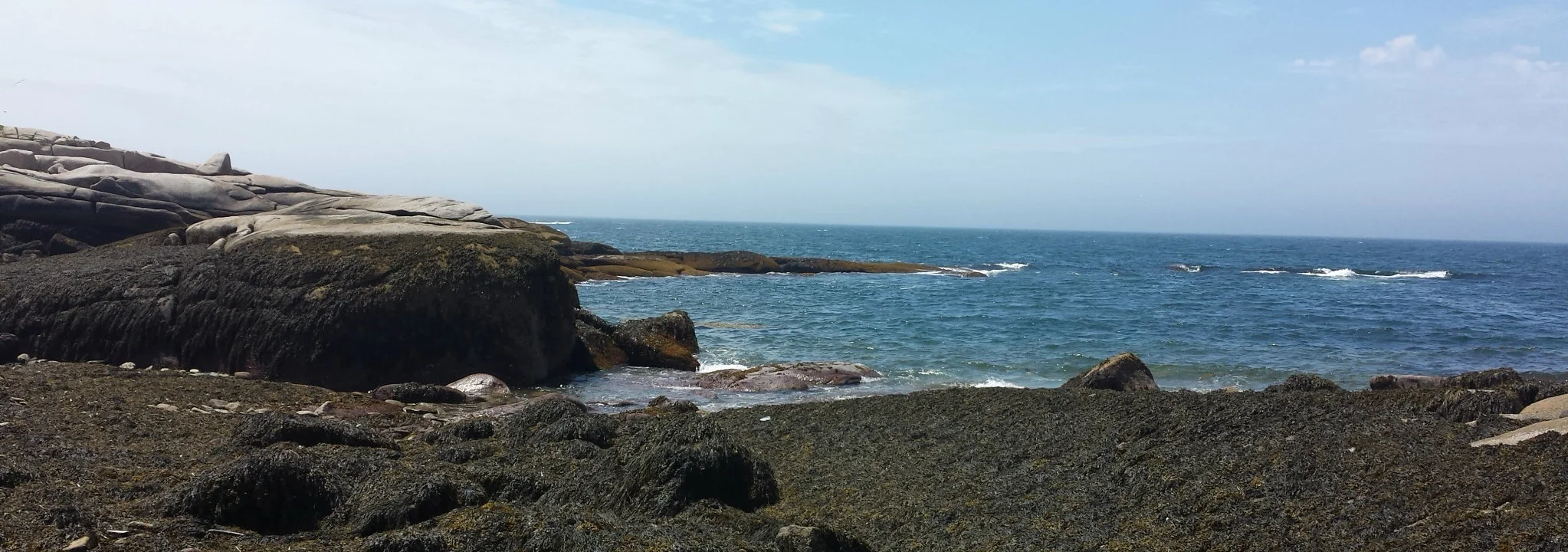 First impressions series: Josh Adrian