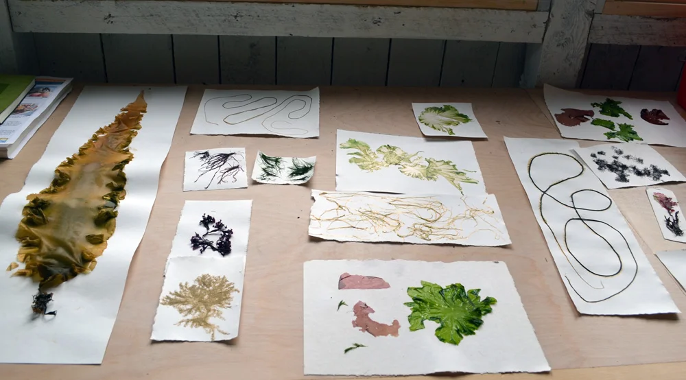 Deb Shinn's Famous Chocolate Sea Moss Pudding