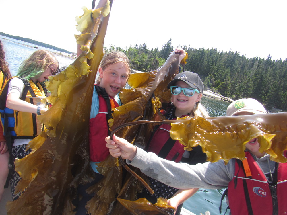 MS Marine Ecology students showing off with their harvested kelp