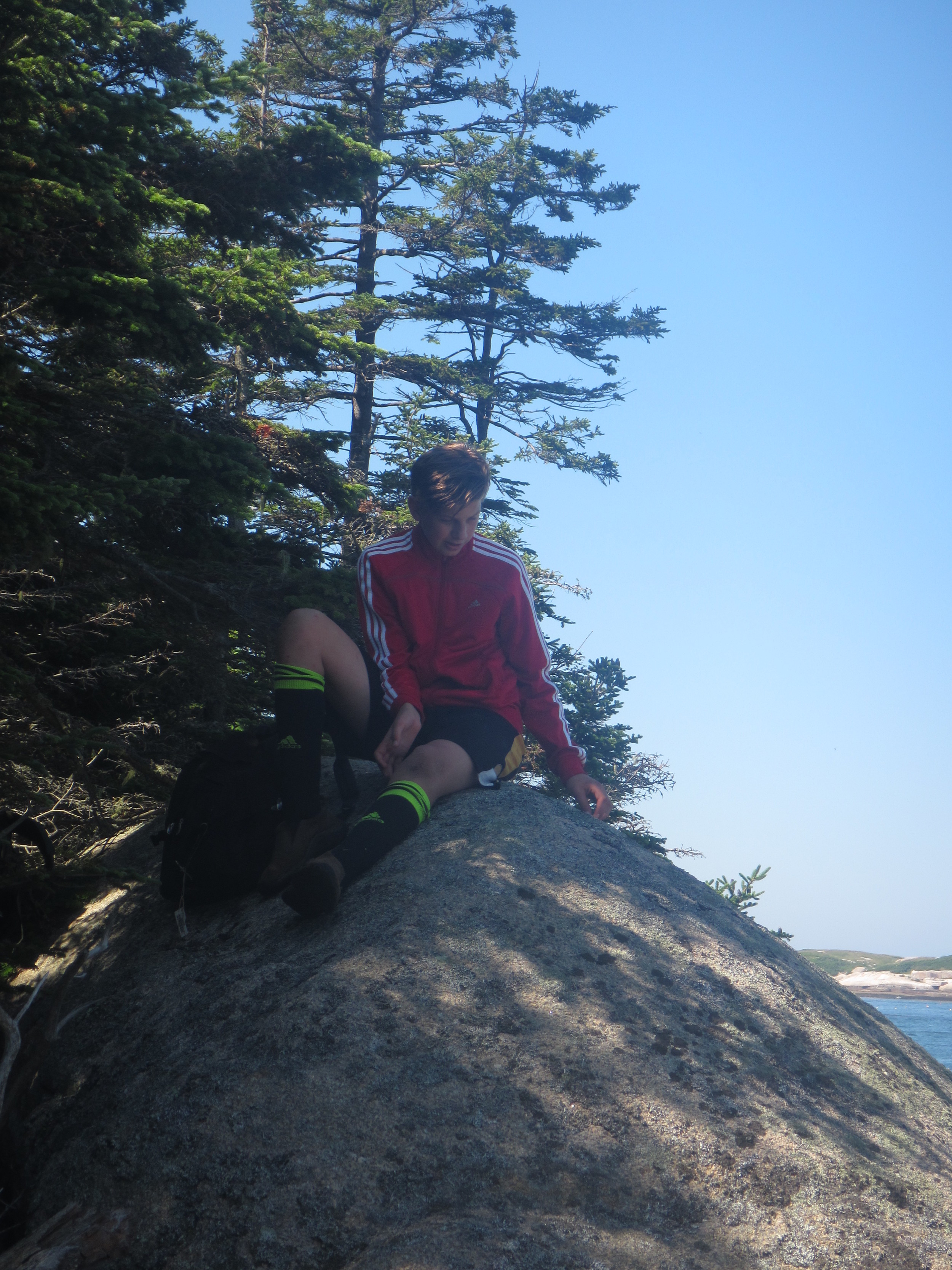 Bodhi on rock.jpg
