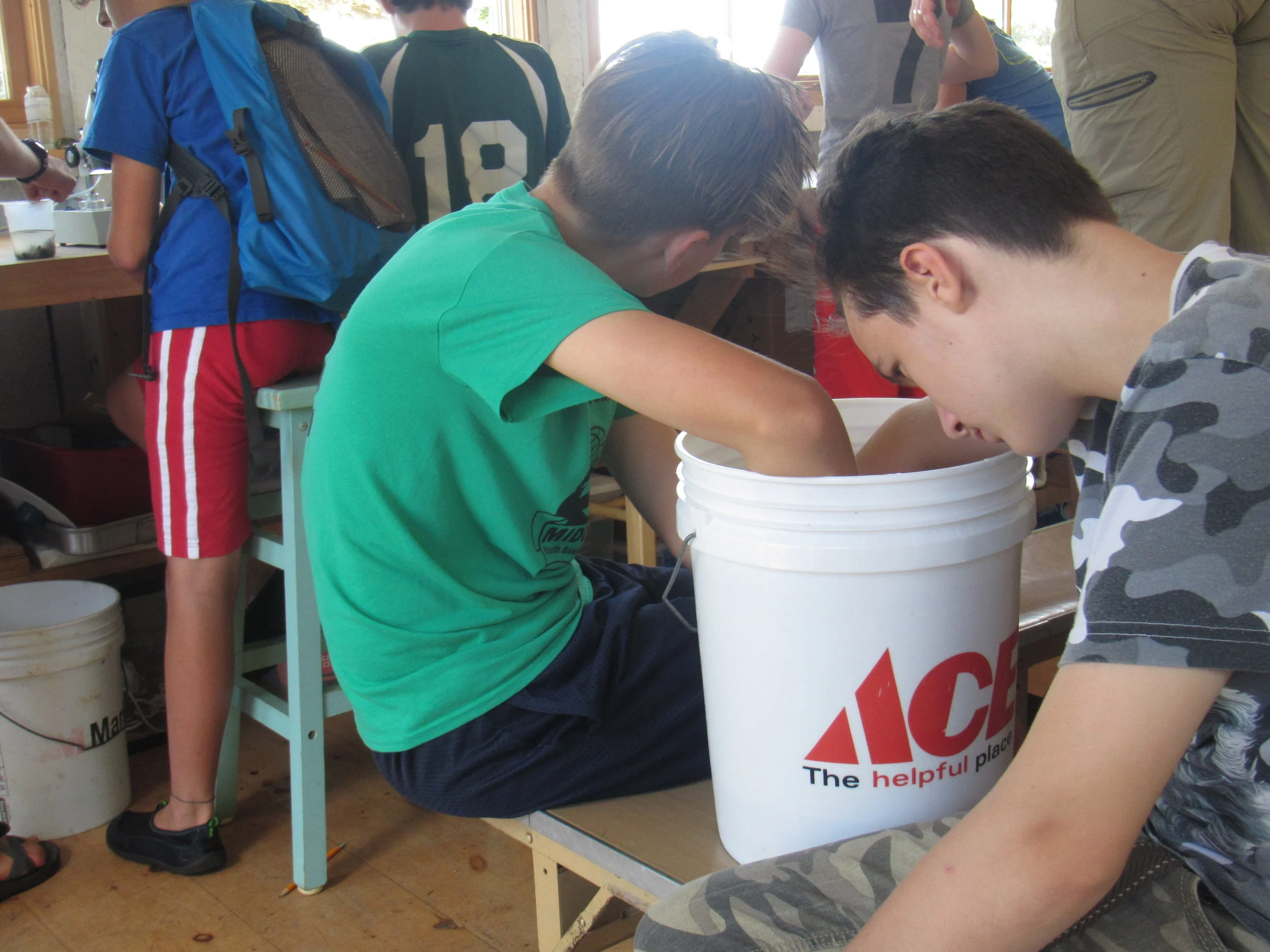Bucket of wonder.jpg