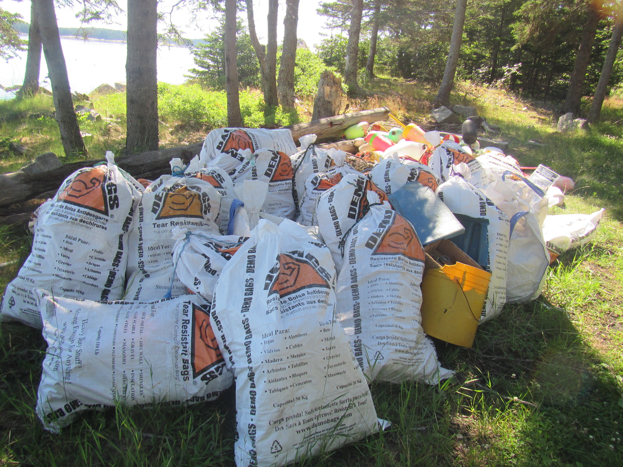 Bags of Marine Debris from Rozalia Project.jpg