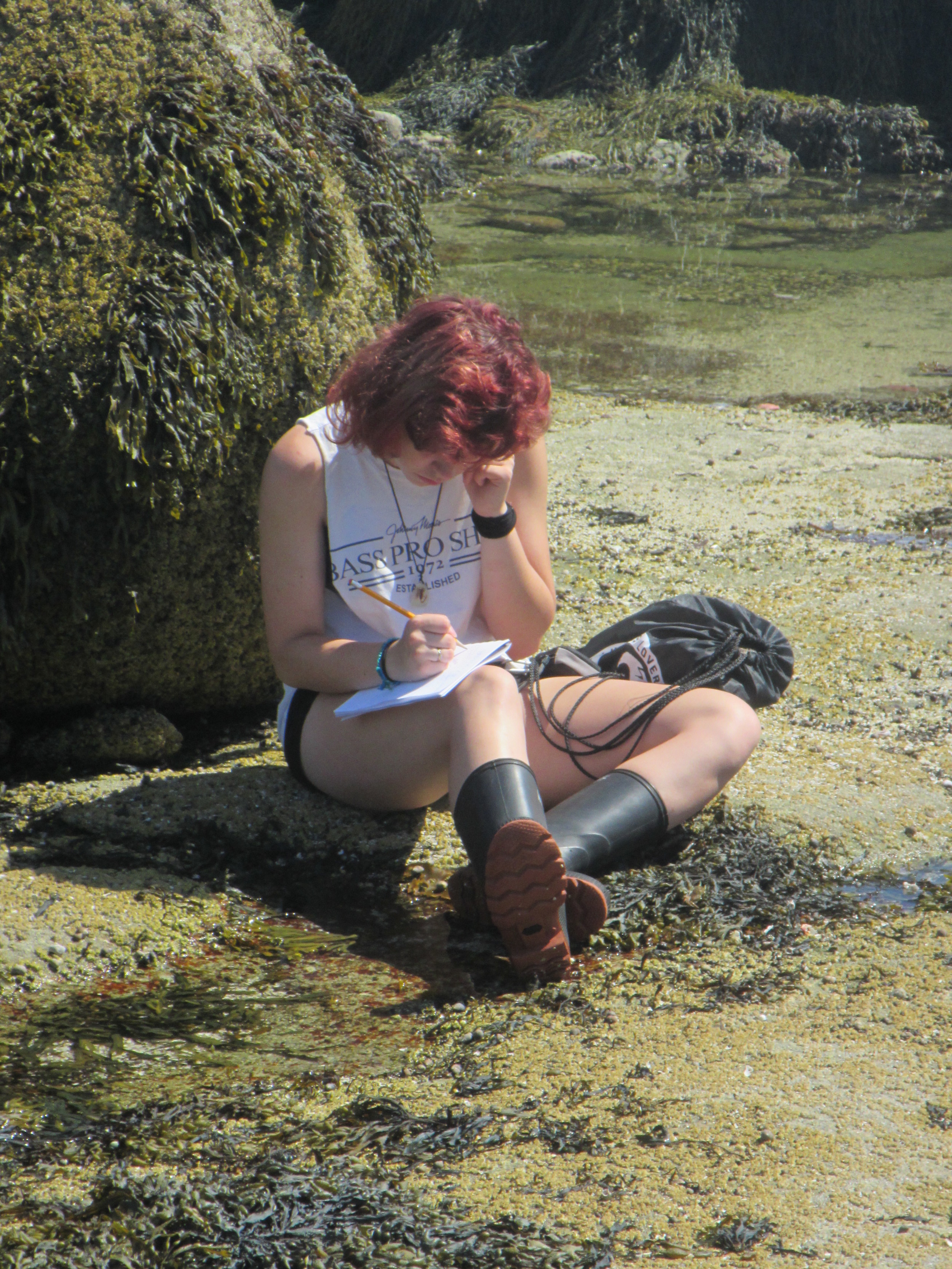 Create a Field Guide assignment.jpg