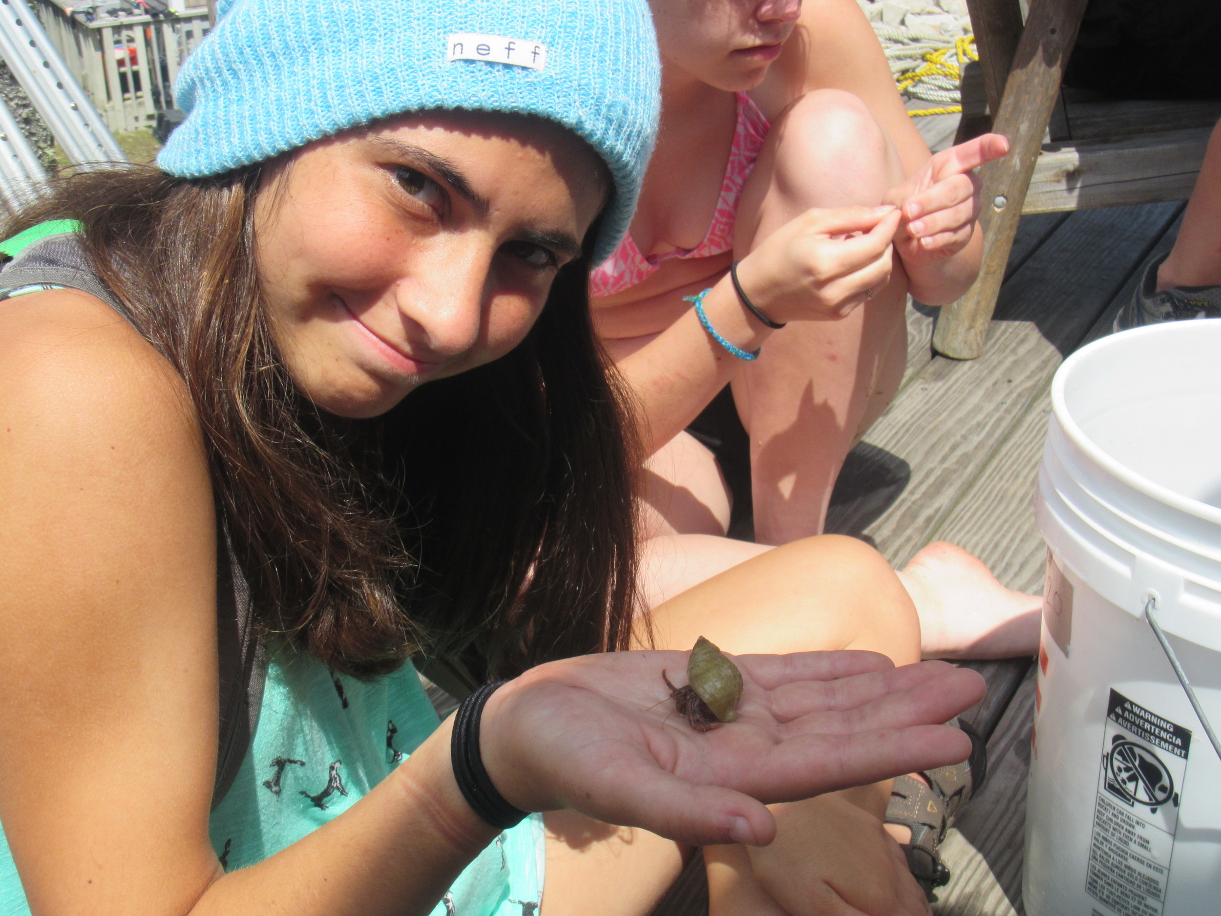 Hermit crab!.jpg