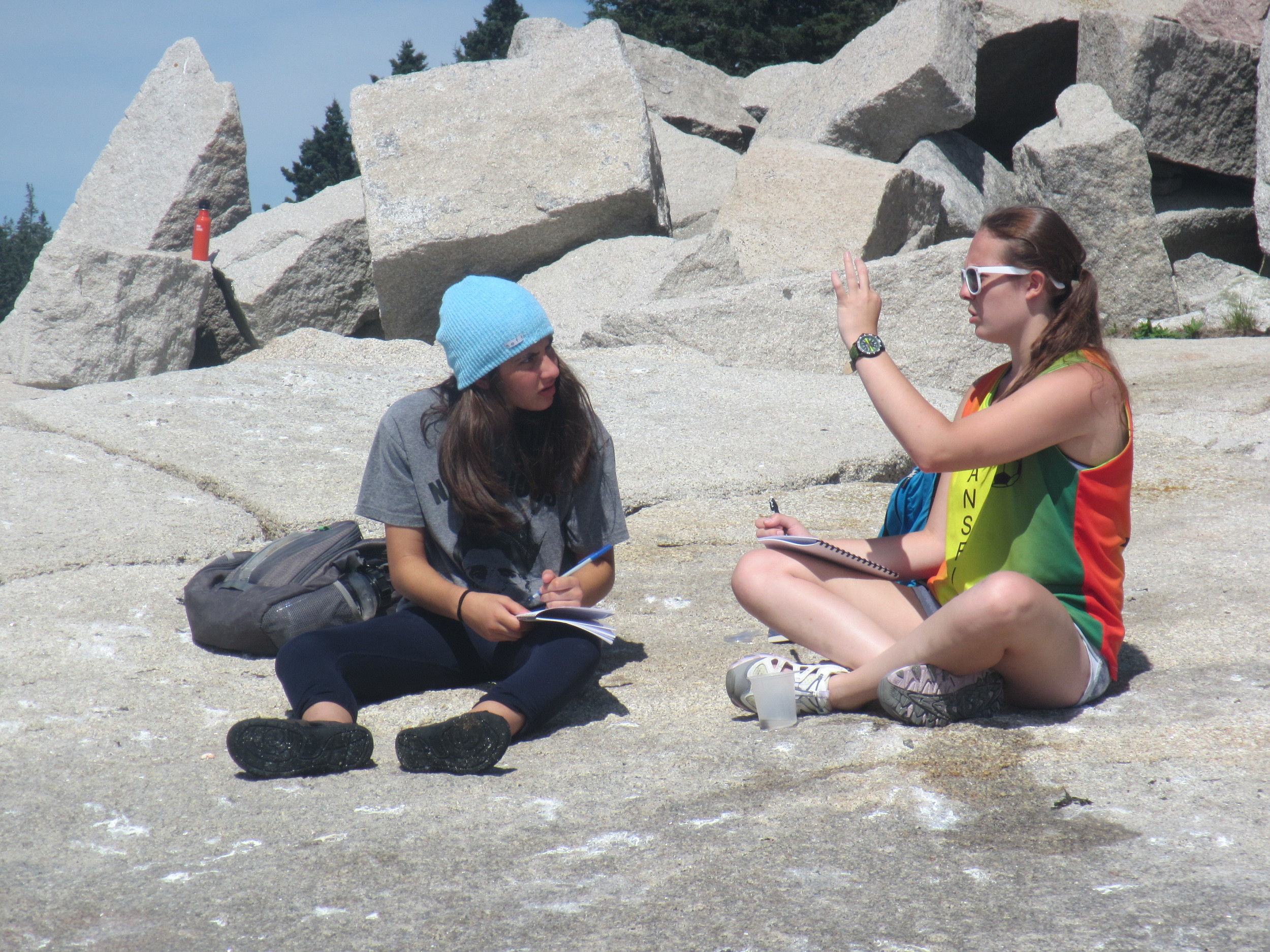 Sharing notes on crabs.jpg