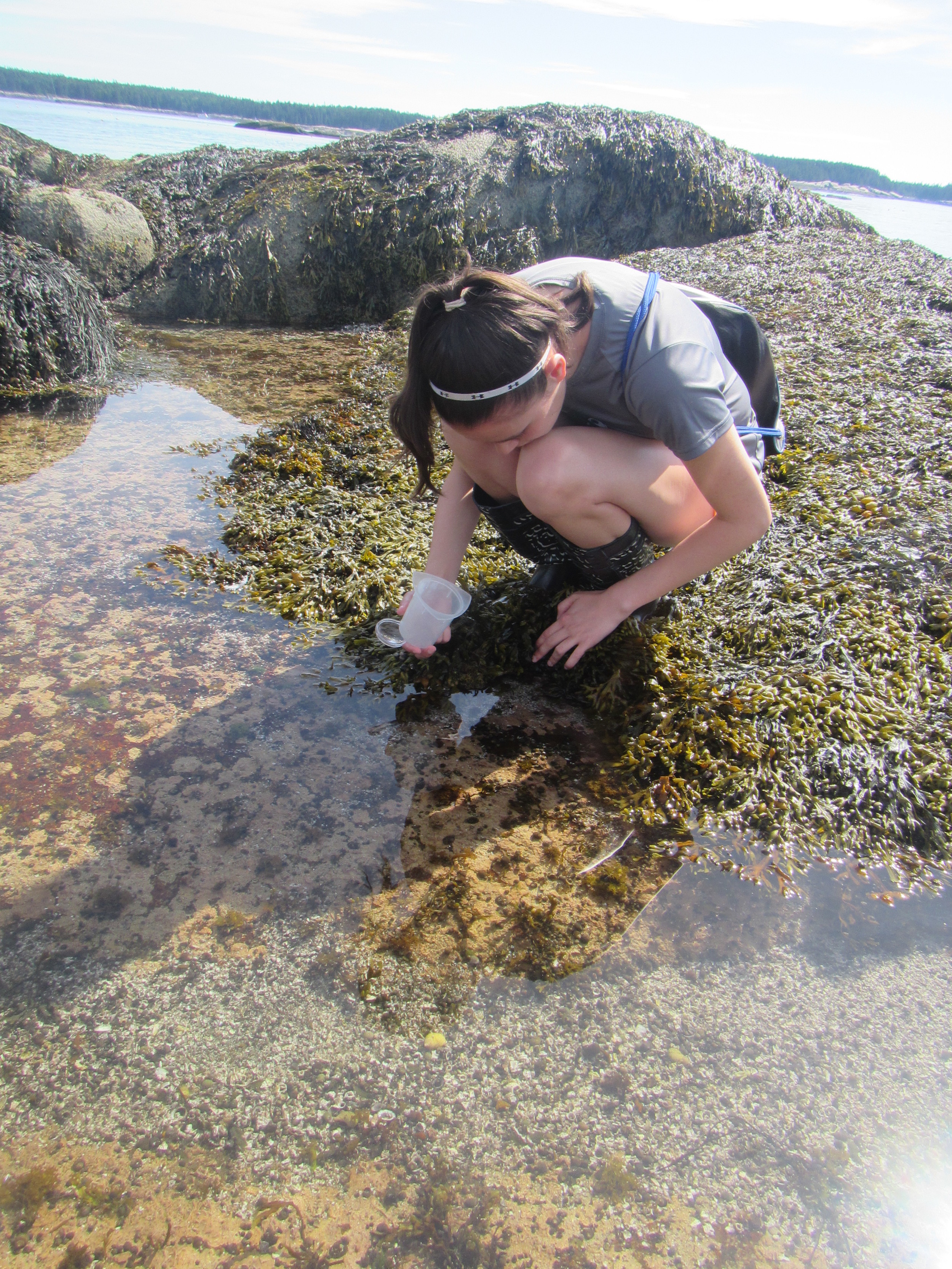 Tide pools.jpg