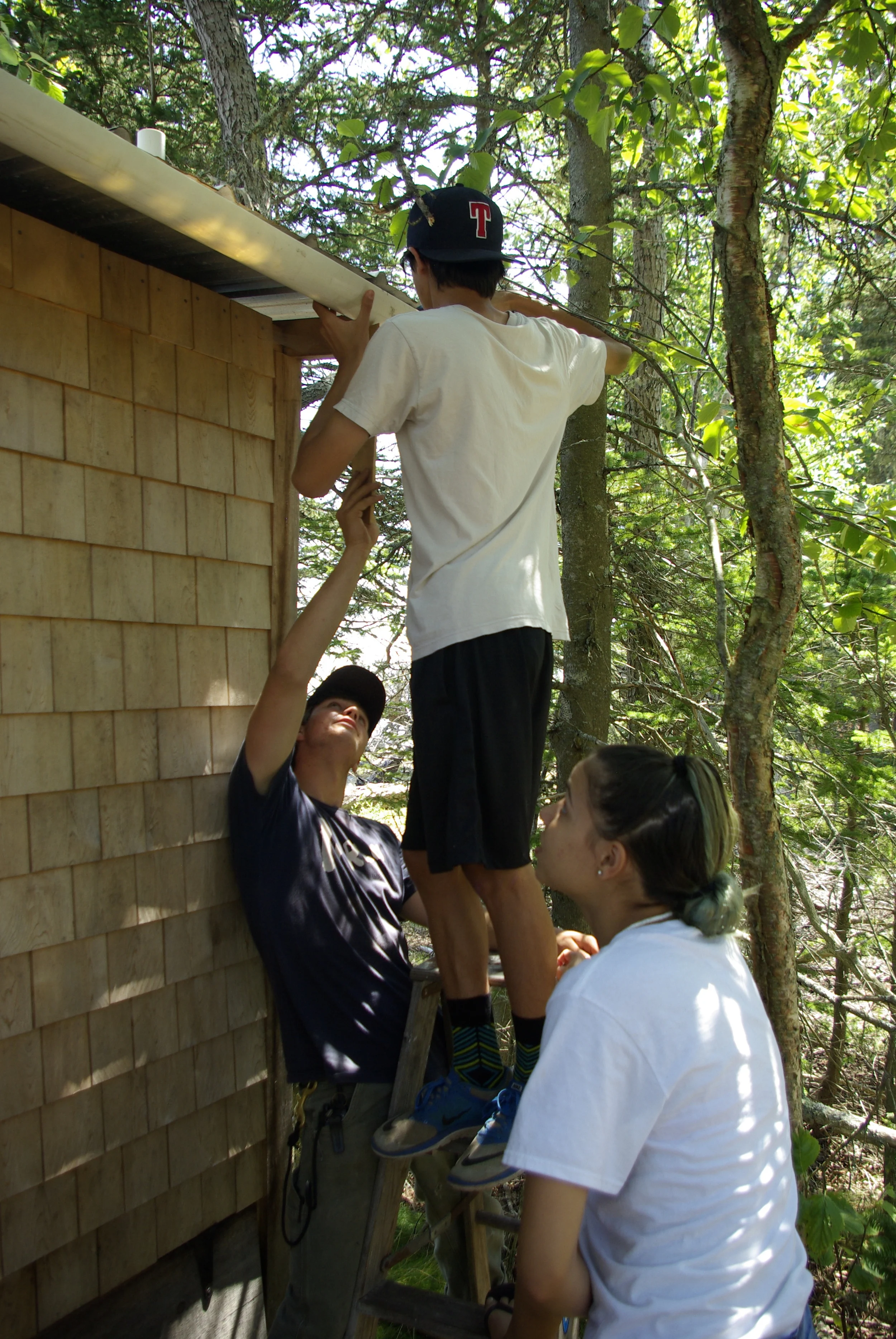 Roof Installation.JPG