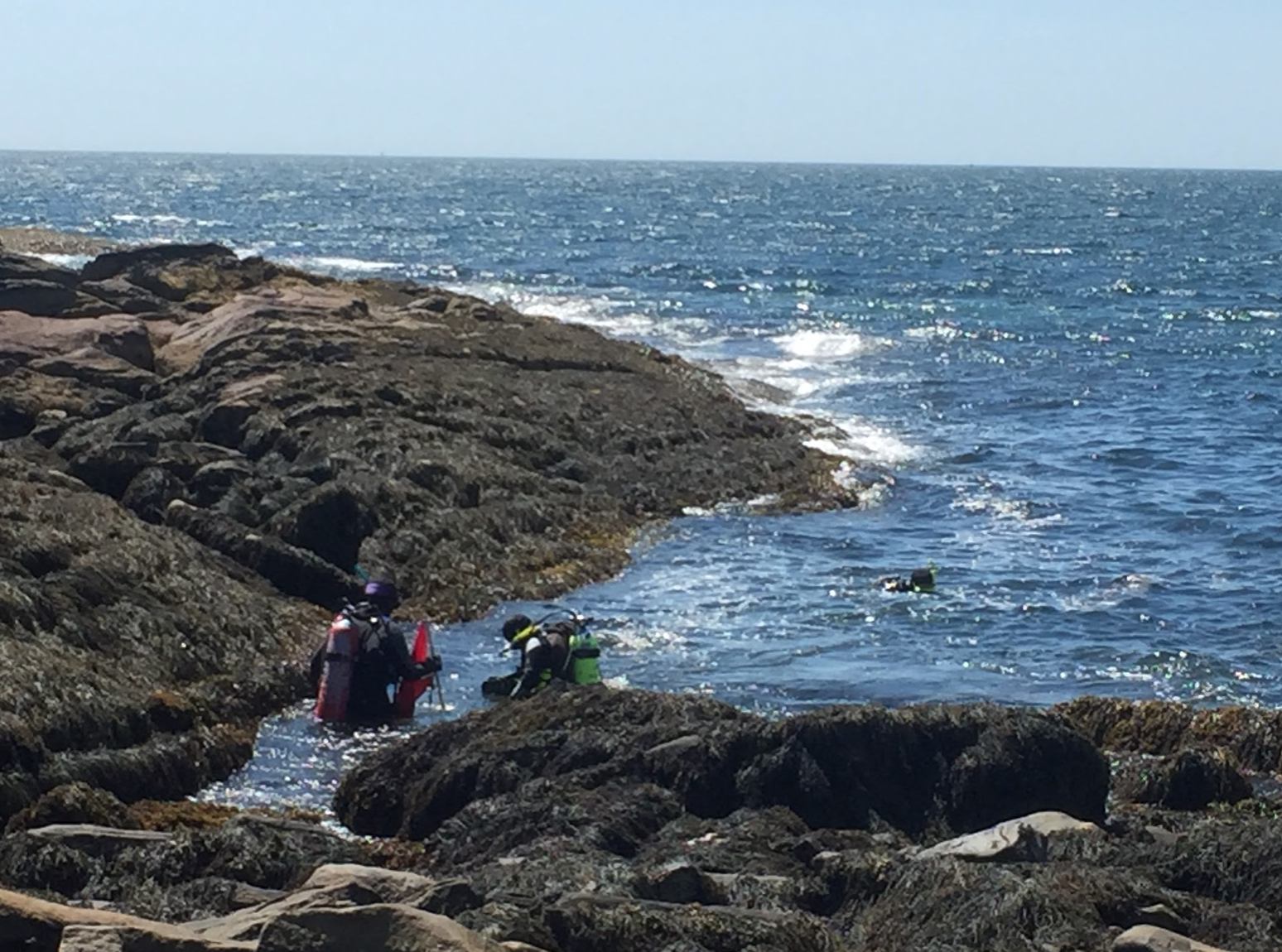 A rocky shore entry at Pemaquid Point