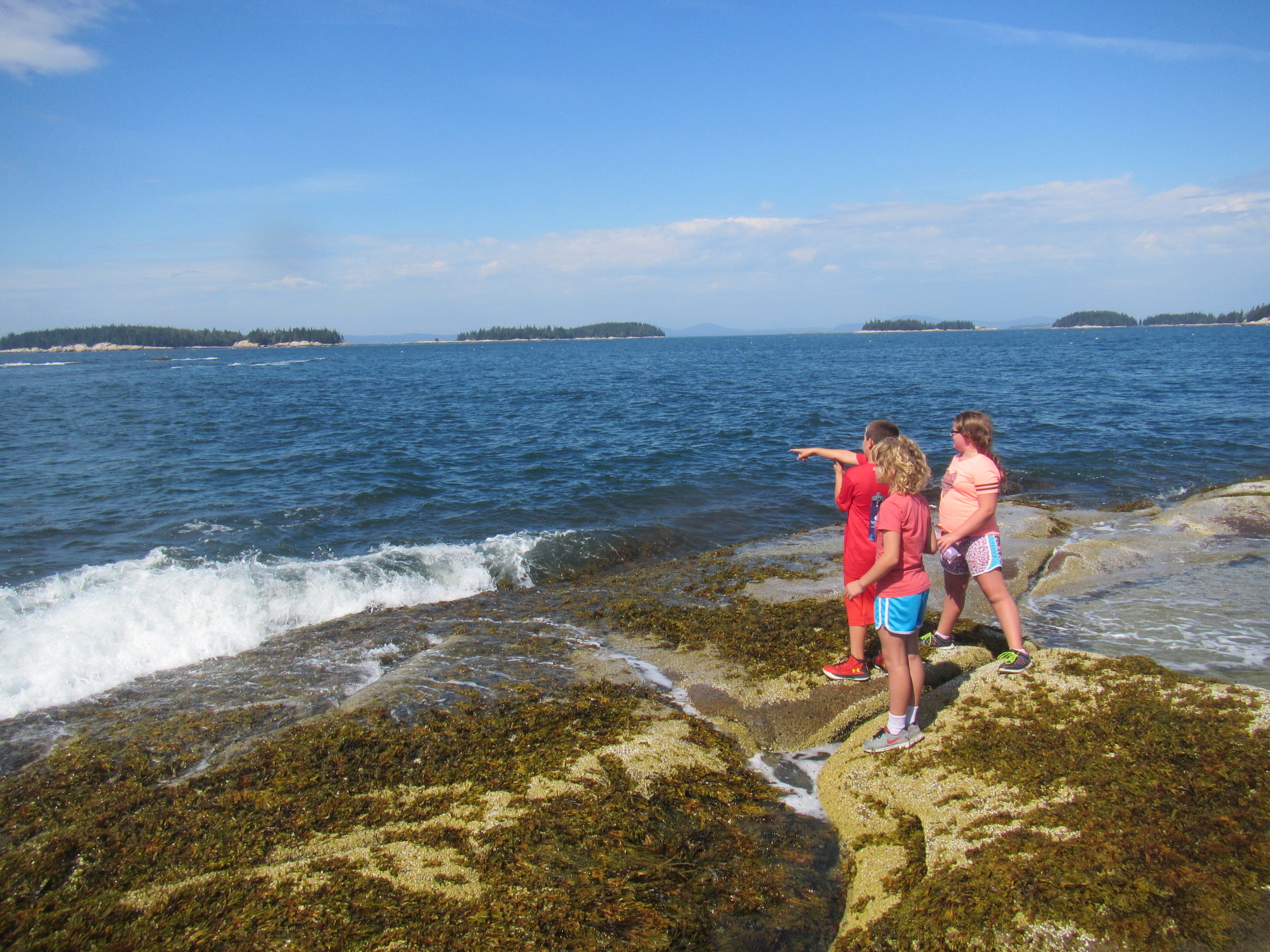 North end explorers take on Gibbon's Point