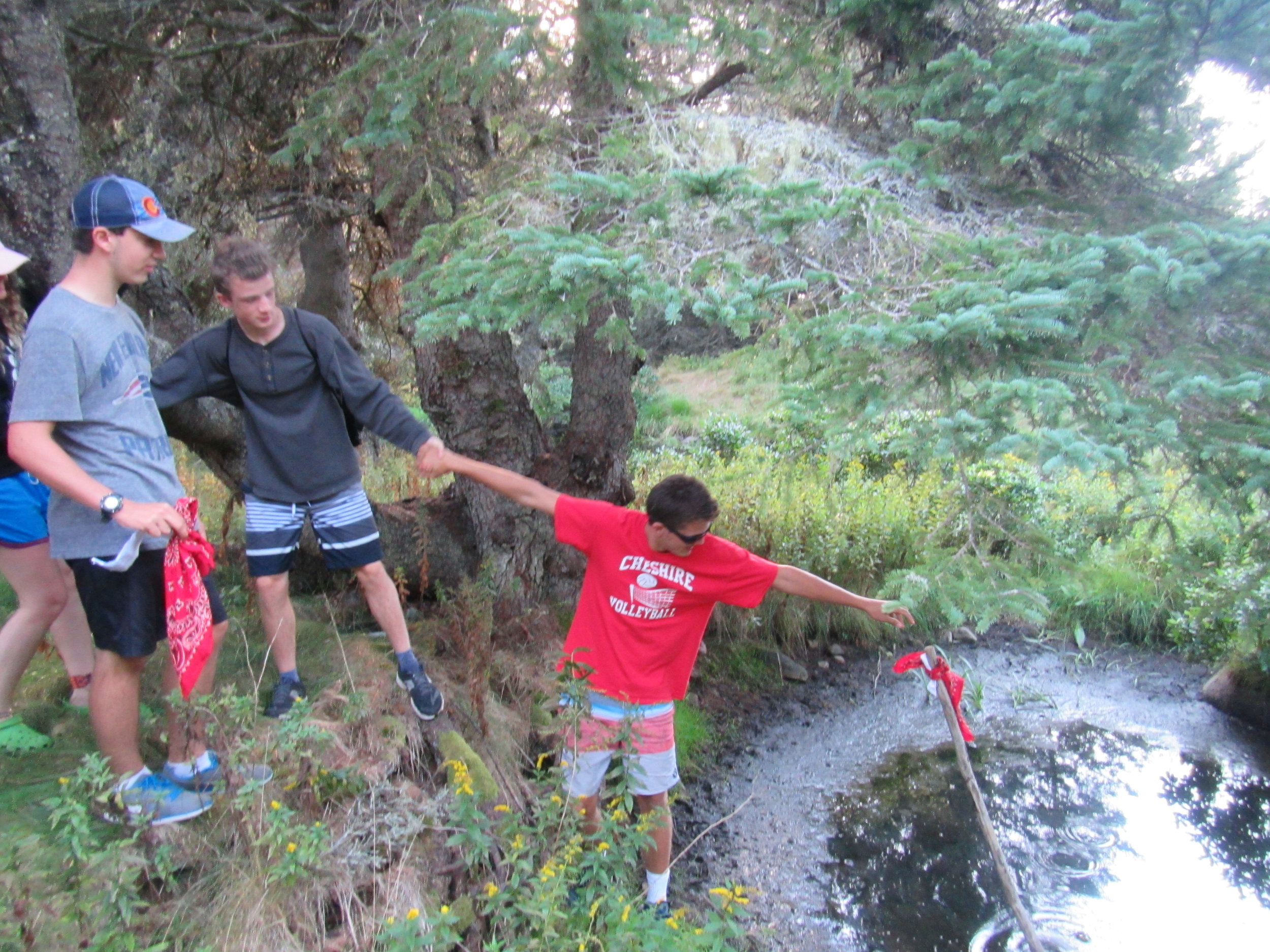 Teamwork at its finest