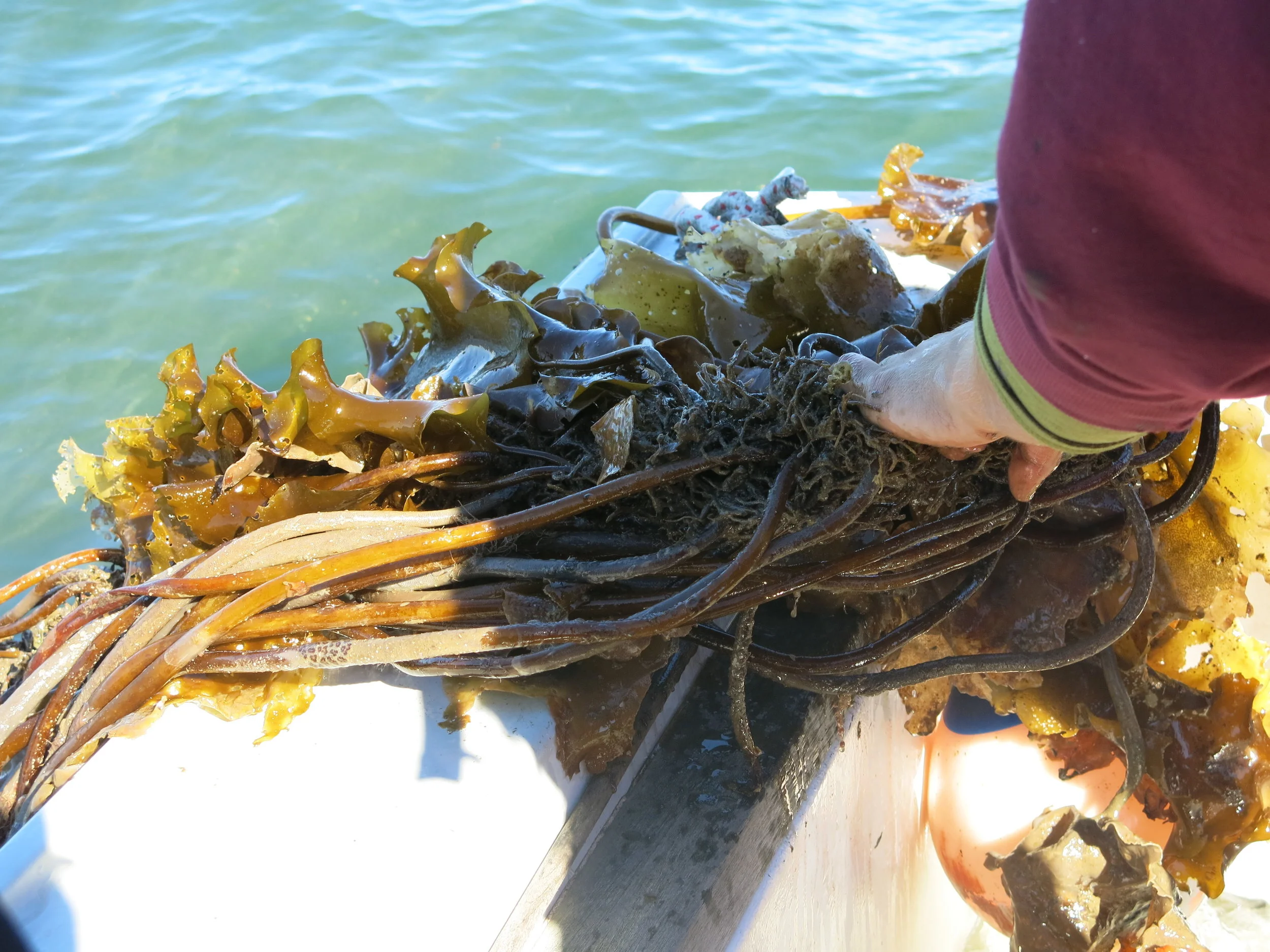 Aquaculture retreat brings educators together