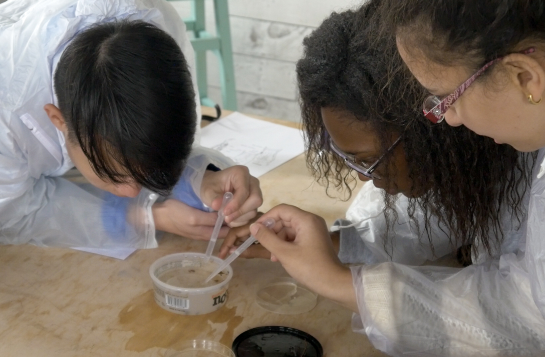 Pipetting pros!