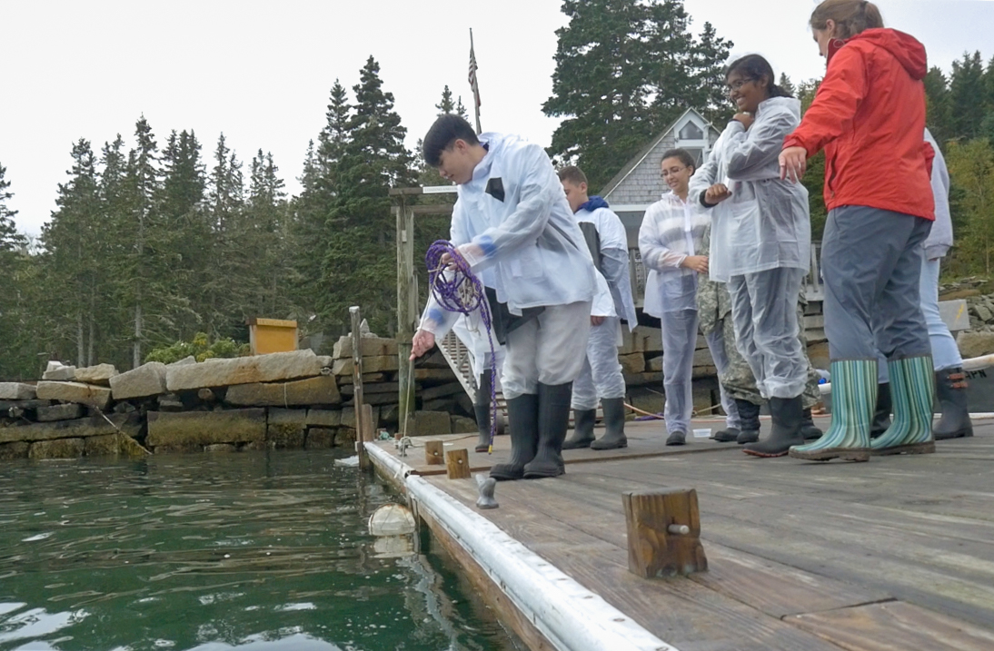 Rainy day plankton tow