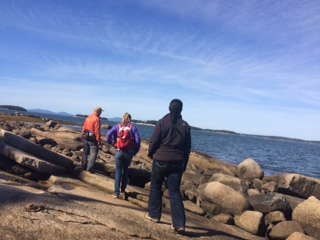 Enjoying a shoreline walk on a beautiful day