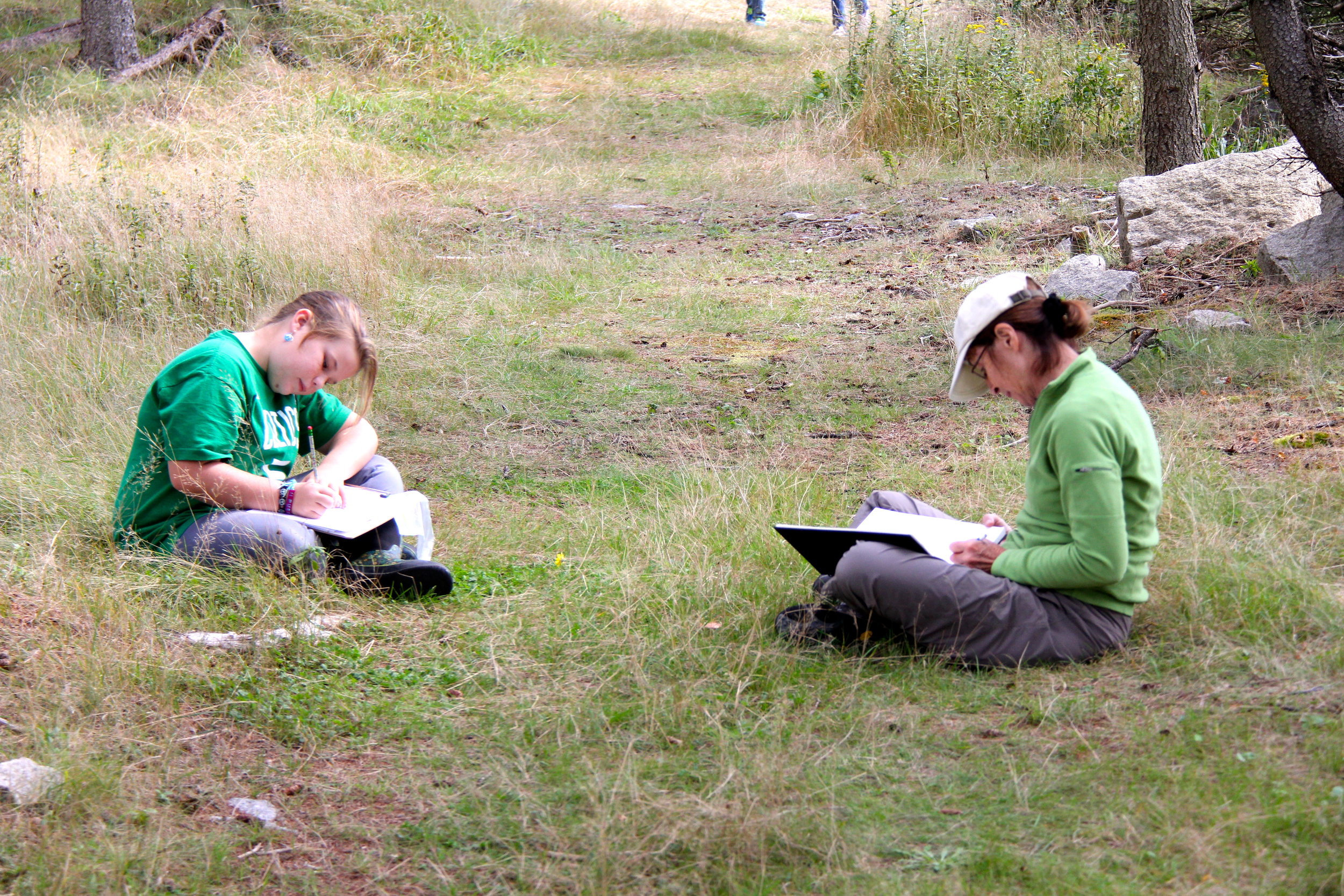Journaling on Hurricane Island