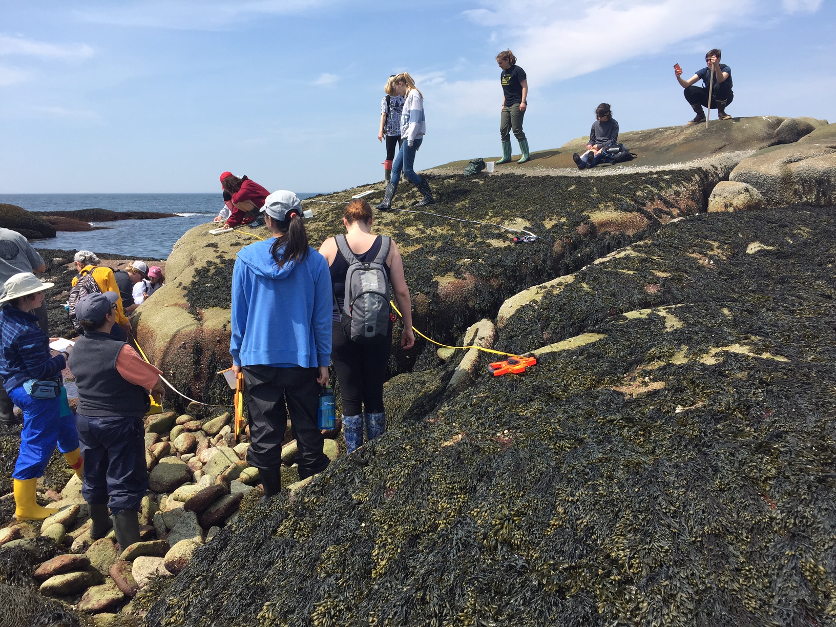 CSW students practice using transect tapes and quadrats in the intertidal zone. Photo courtesy of Scott Byrd.