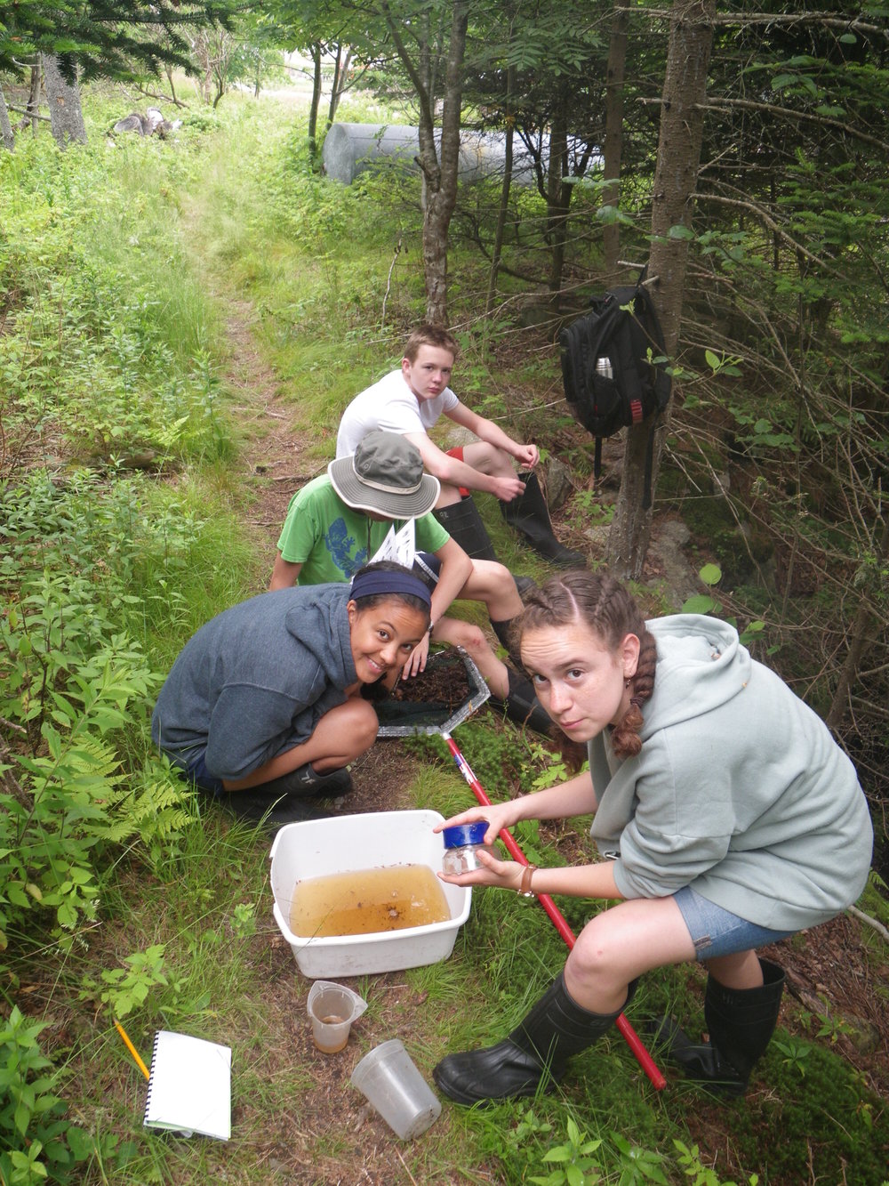Students sort and identify their net contents using field guides and macro-lenses so they could gather count data for various freshwater macroinvertebrate families.
