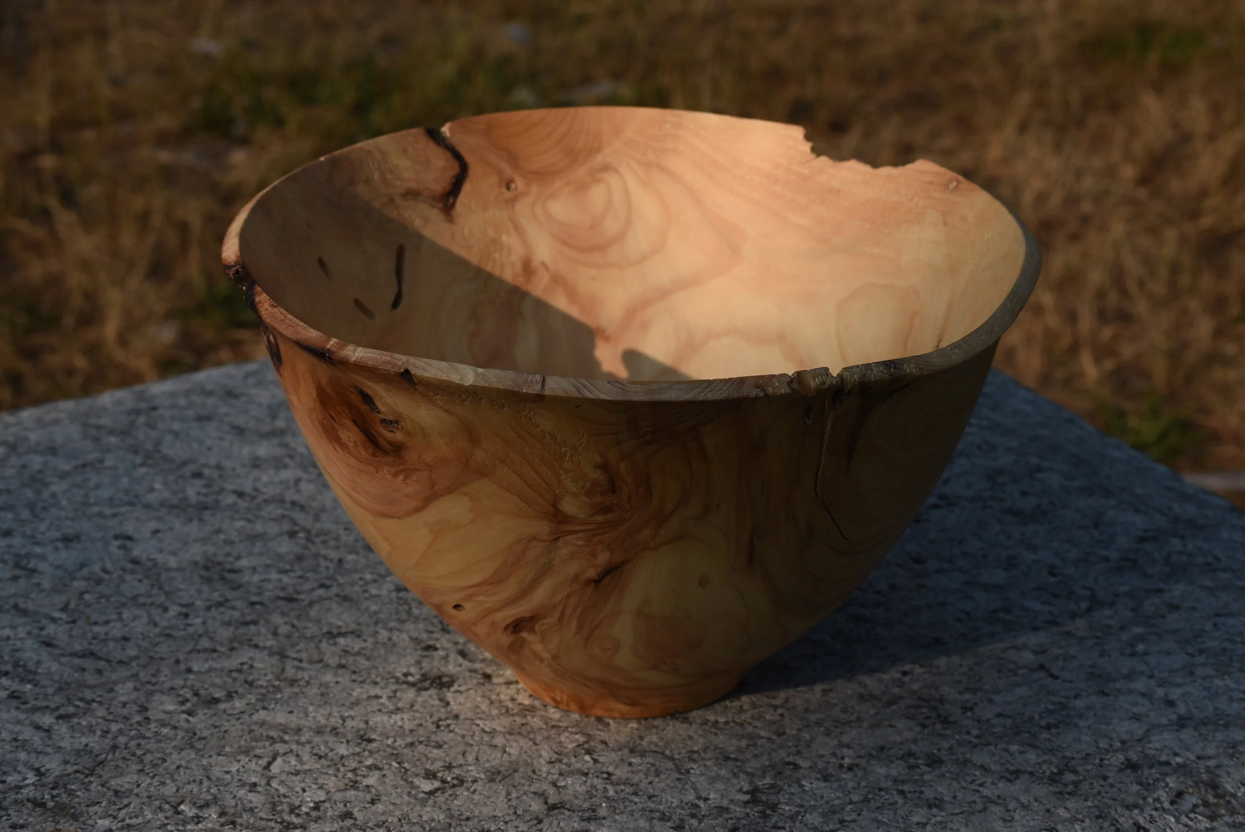 Hurricane Spruce: $800