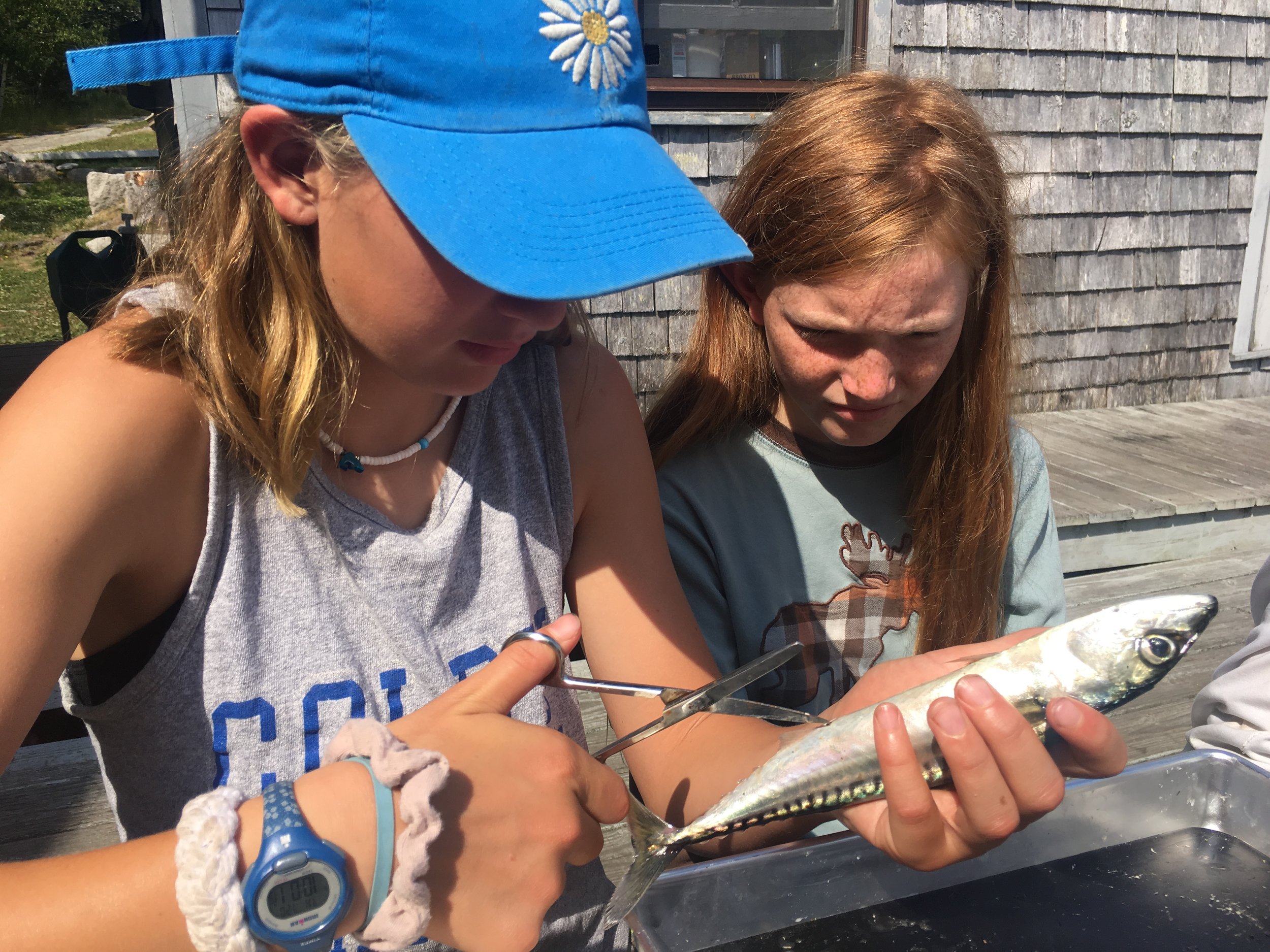 Hannah and Serafin making the first inscision