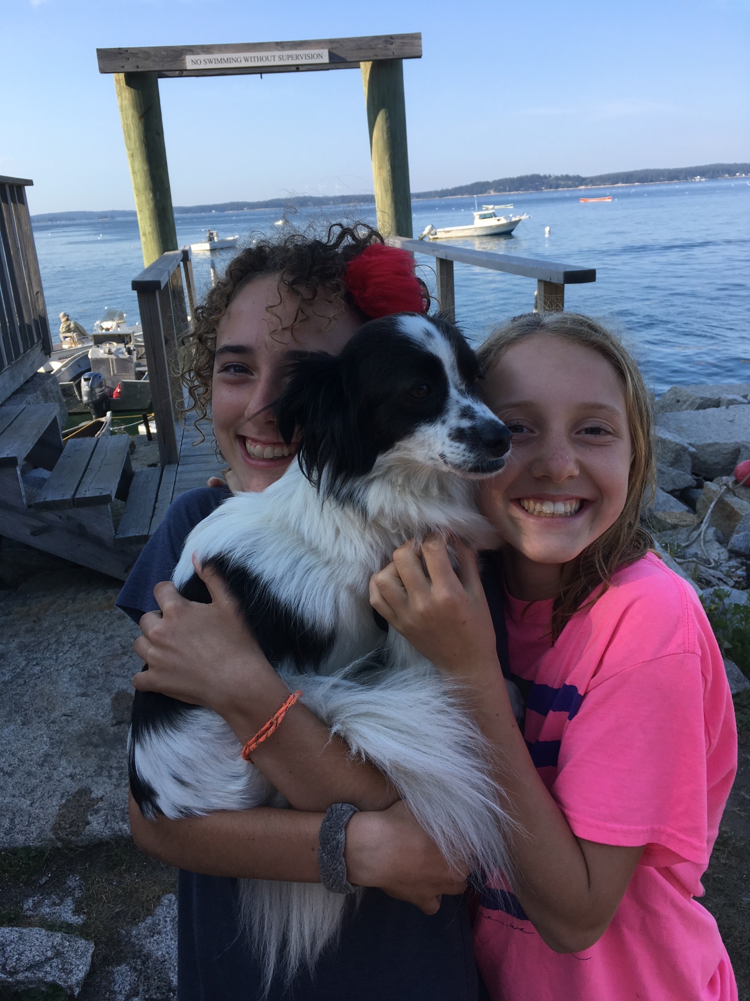 Clementine (right) and Sadie Claire (left) are wonderful dog care-takers!