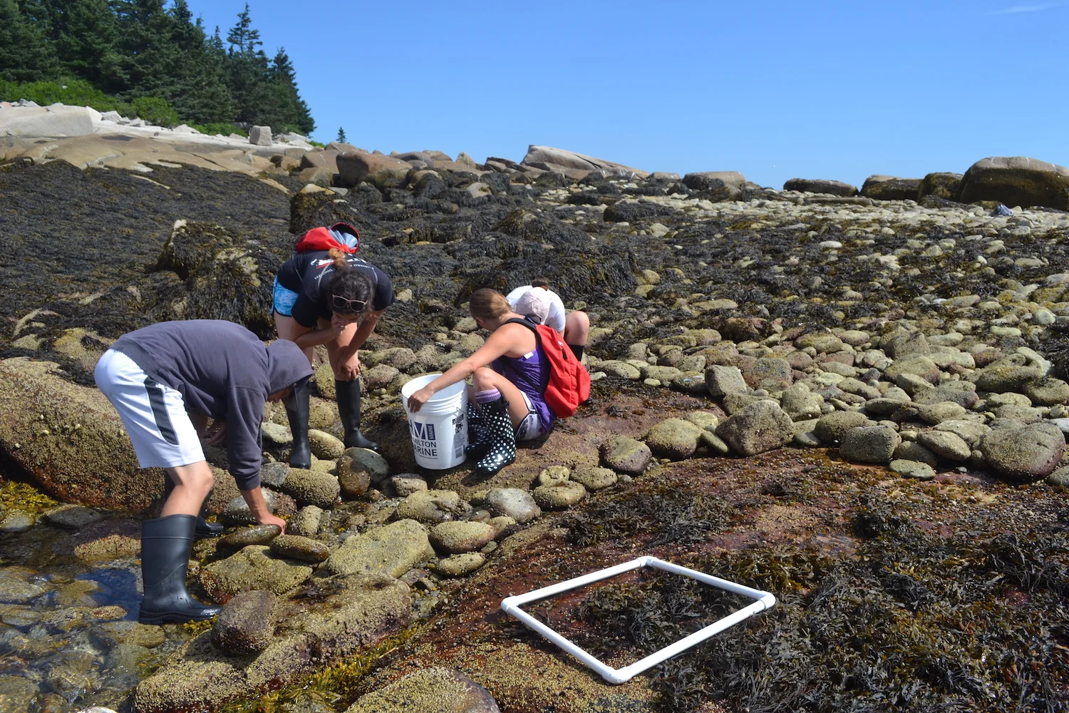 Integrating standards with authentic learning