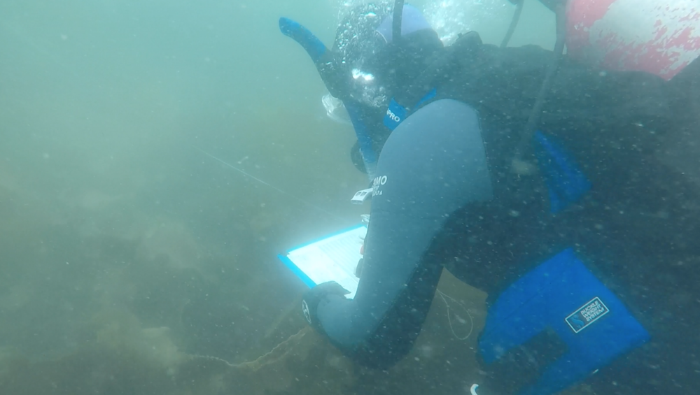 Bailey recording fish counts on waterproof paper taped to a clipboard.