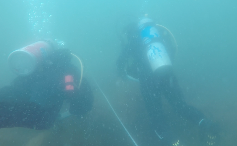 Bailey and I swimming along the transect while completing the swath protocol – a survey dedicated to looking at abundance of large invertebrates and demersal cryptic fish