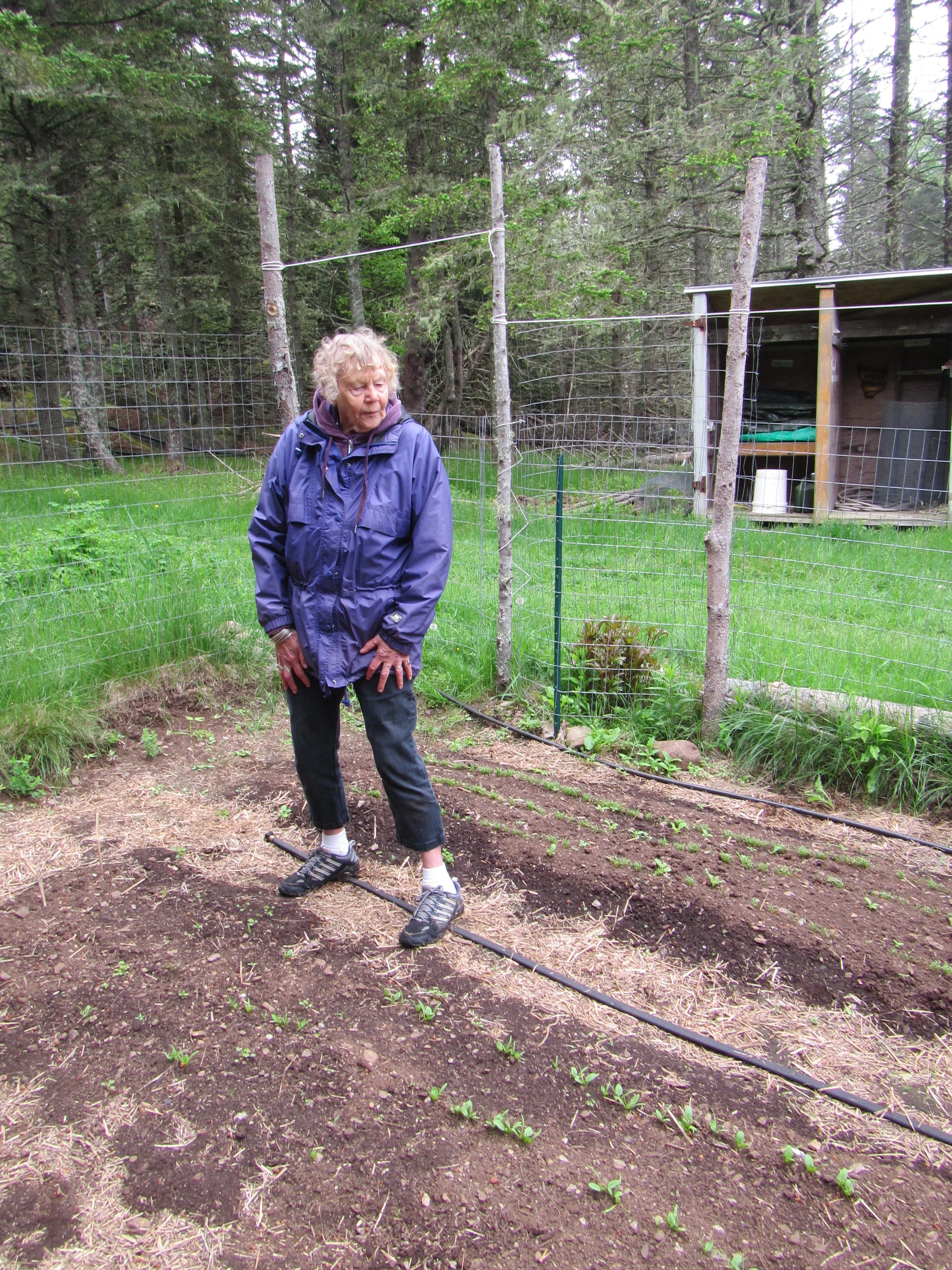 Ruth in the lead in the garden and outlasting us all...no one else makes sure our garden gets planted like Ruth does!