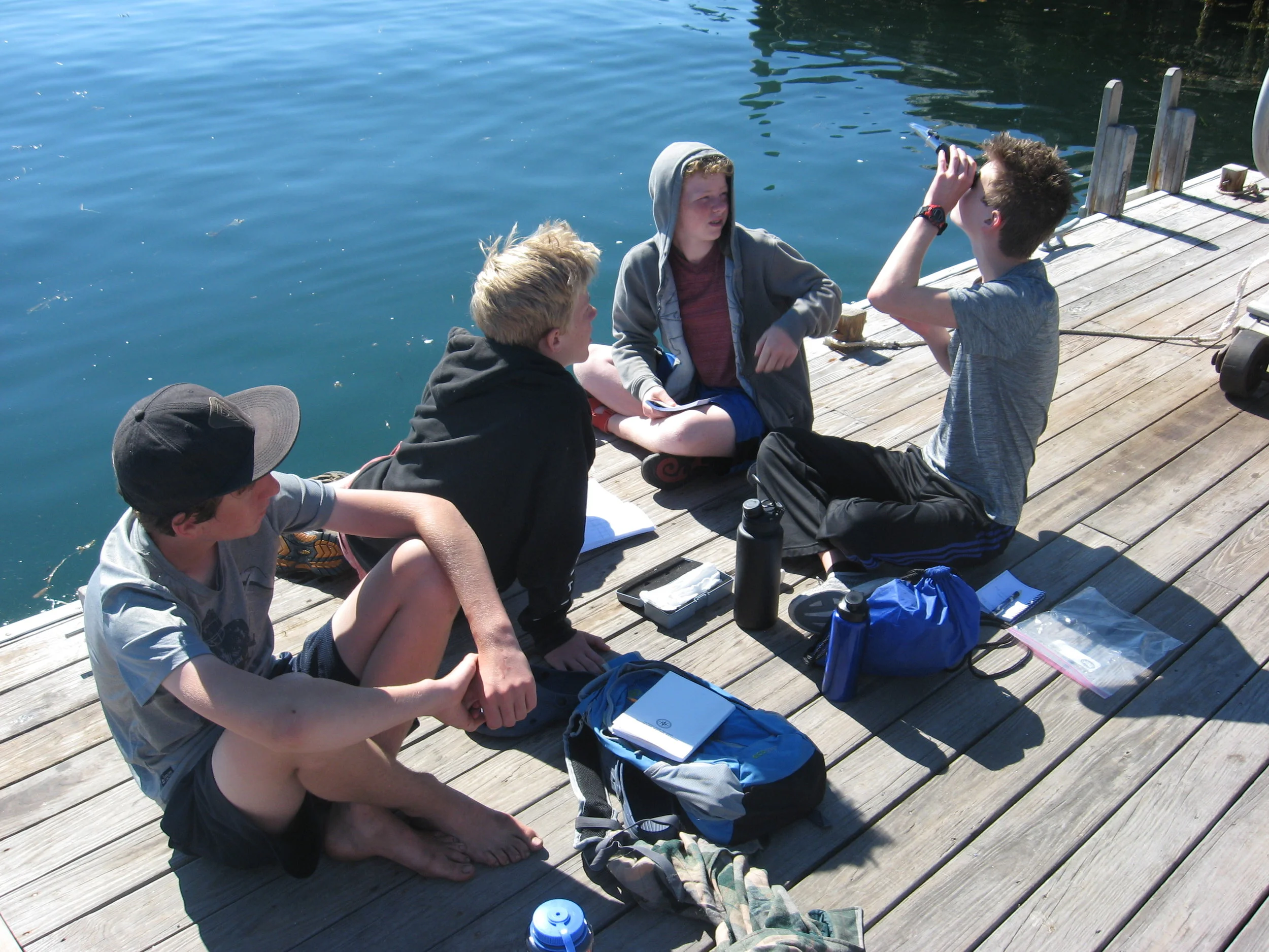 Part of something bigger in Penobscot Bay