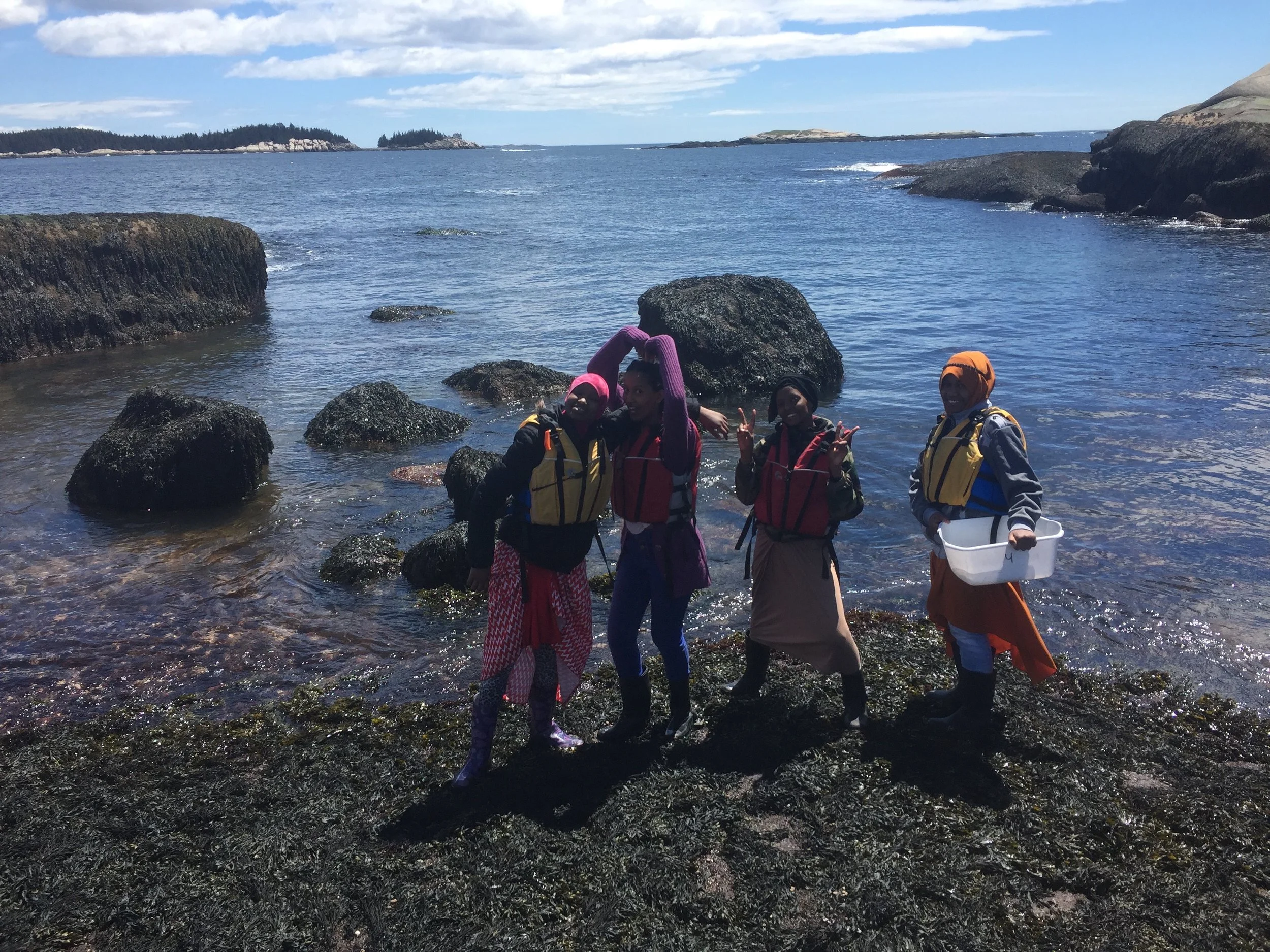 Fun in the intertidal.