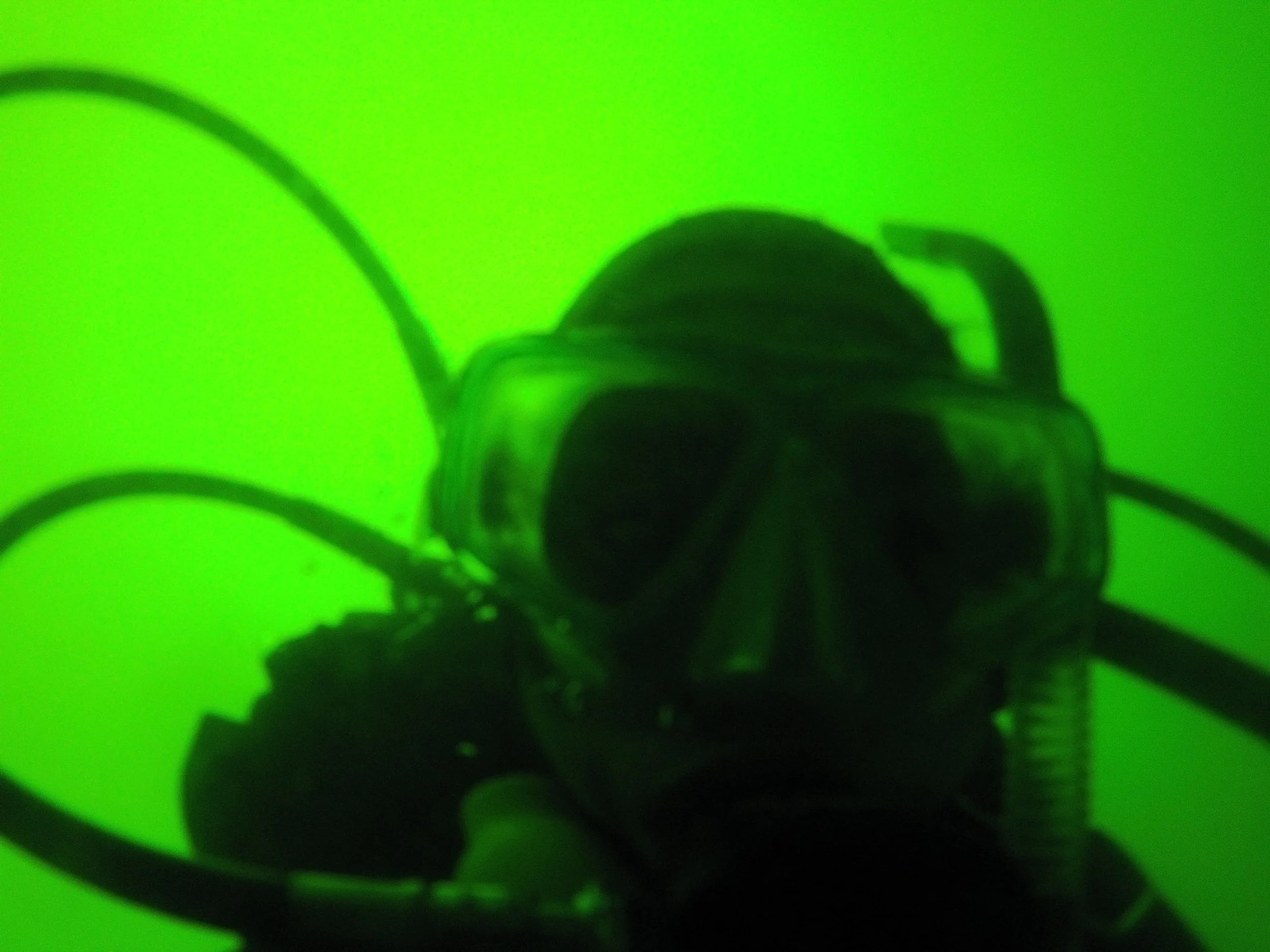 Phoebe figures out how to take a selfie underwater!