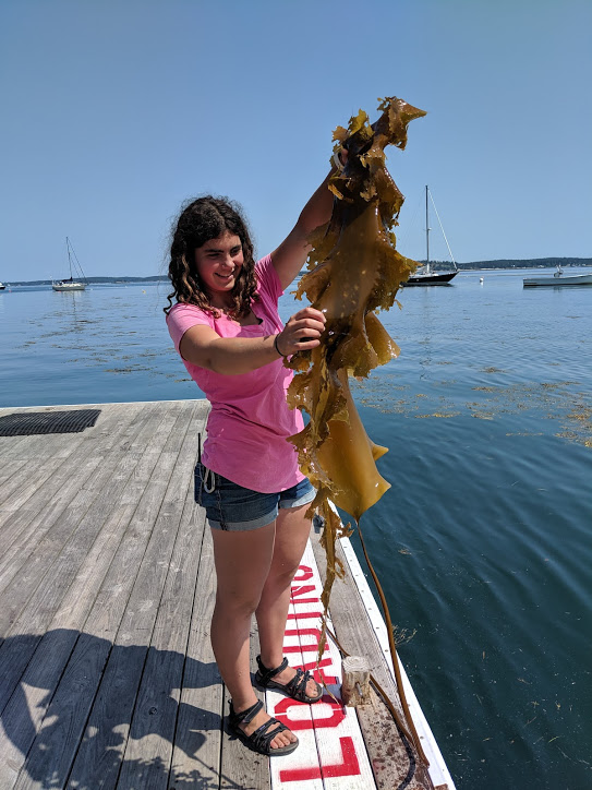 A found piece of kelp from off the dock!