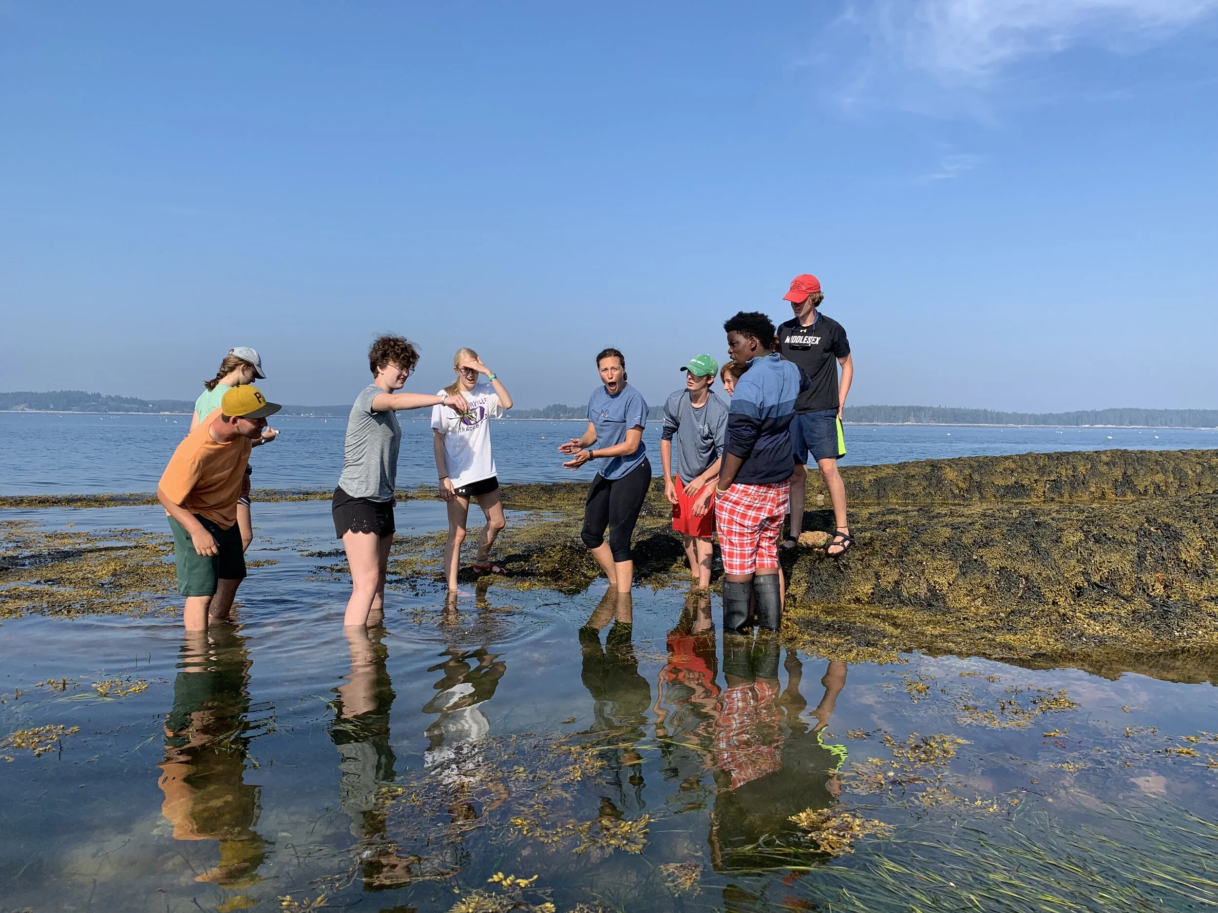 High School Advanced Marine Science — Hurricane Island Center for