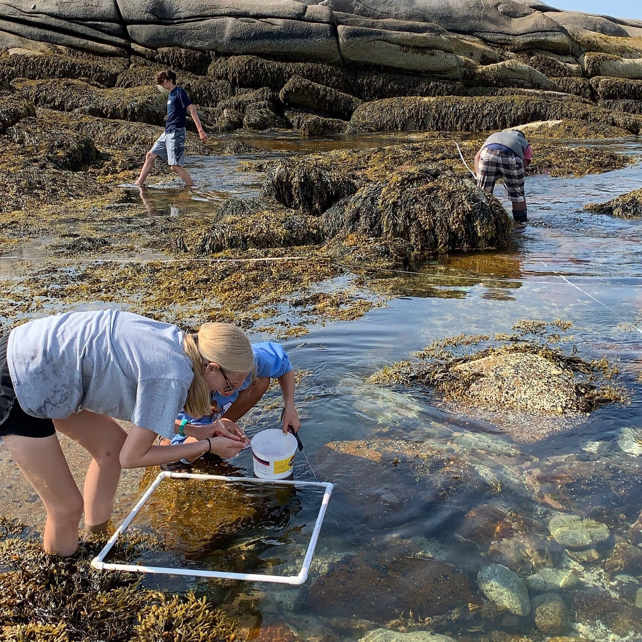 High School Advanced Marine Science — Hurricane Island Center for