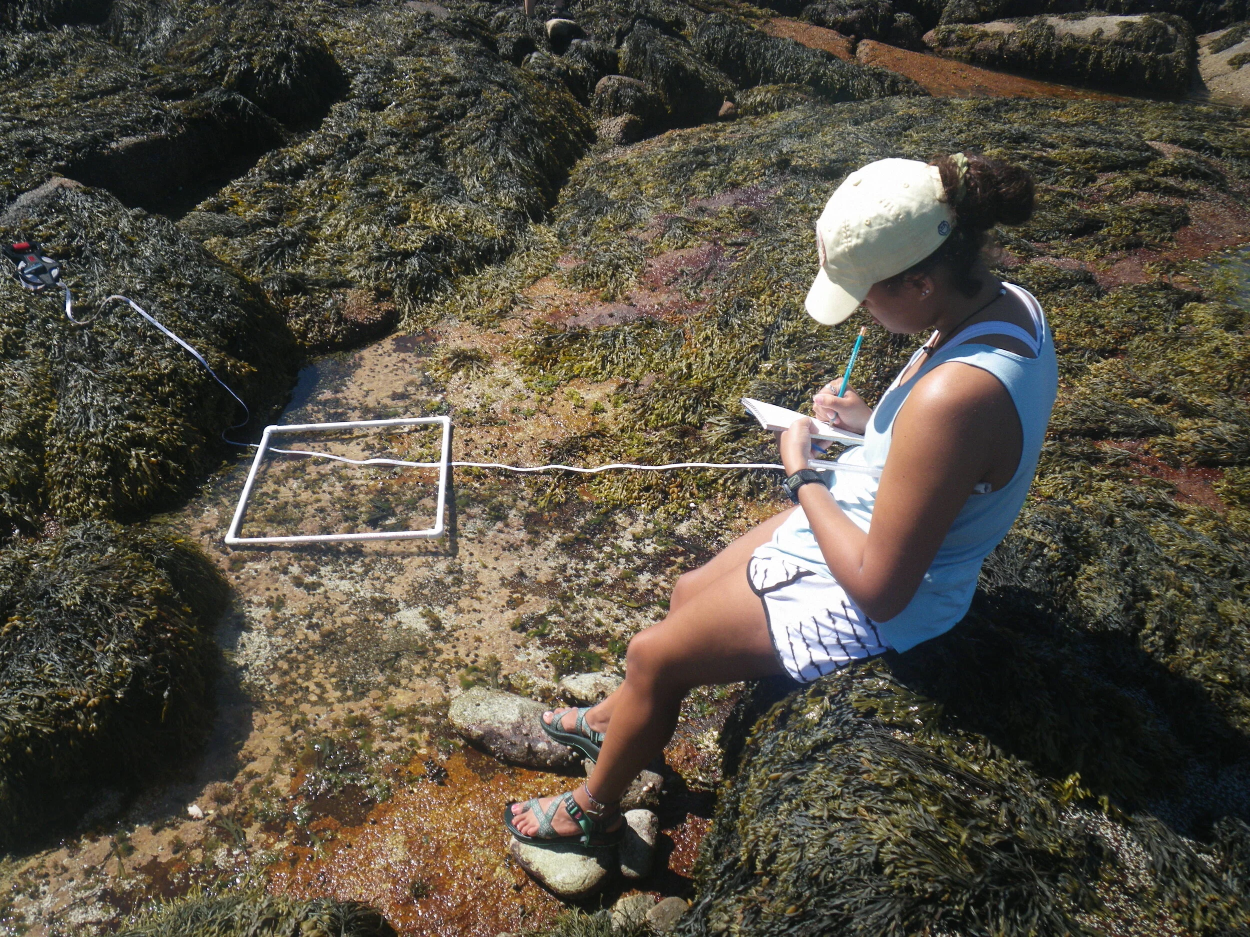 Copy of IMGP0234.JPG