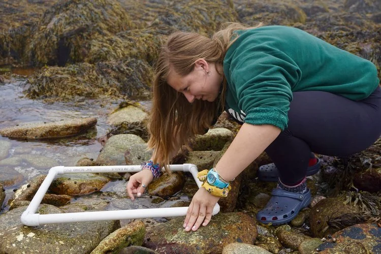 WOTS+Intertidal+quadrat copy.jpg